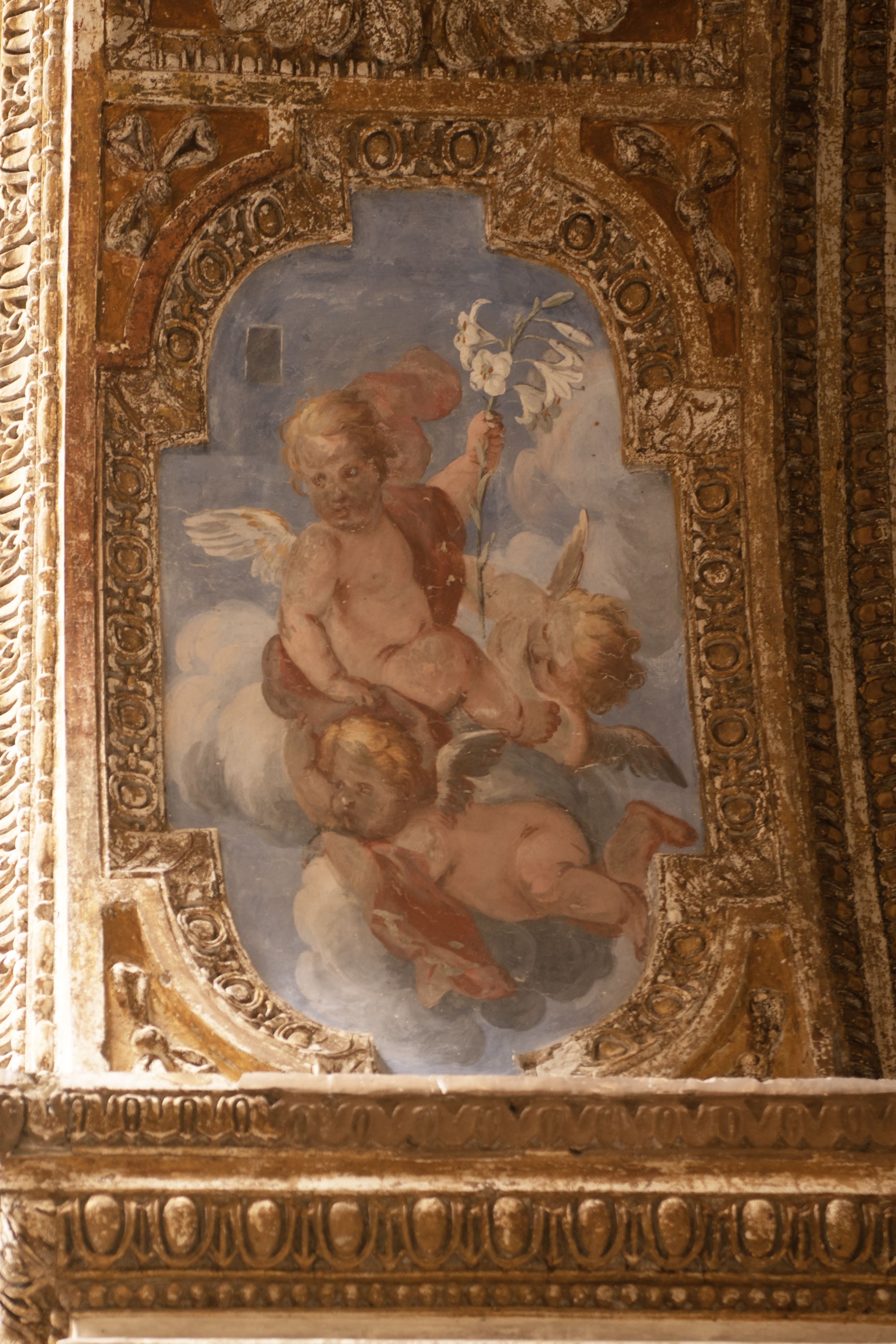 angeli in volo (decorazione plastico-pittorica, elemento d'insieme) di De Popoli Giacinto (attribuito) (sec. XVII)