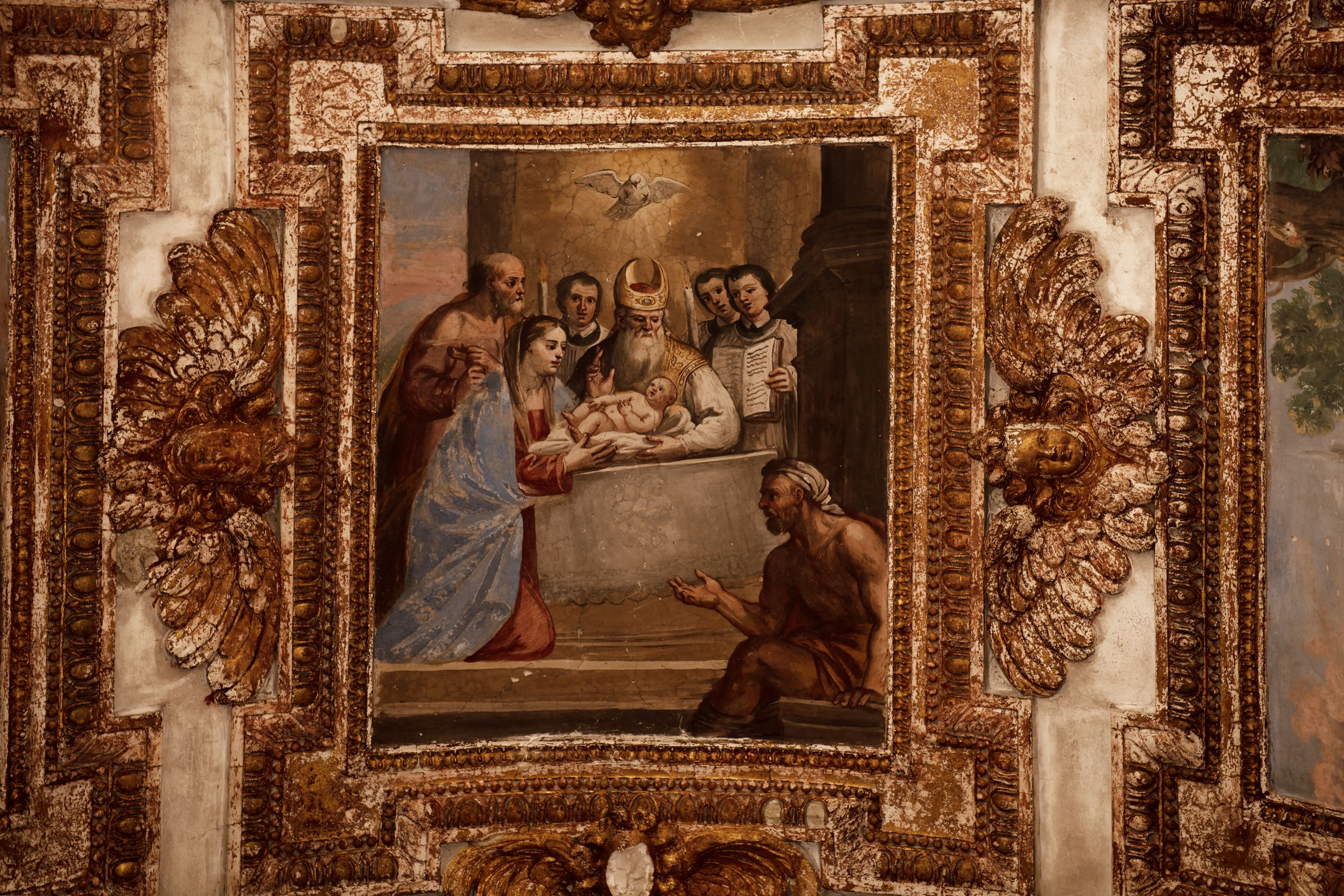 circoncisione di Gesù Bambino (decorazione plastico-pittorica, elemento d'insieme) di De Popoli Giacinto (sec. XVII)