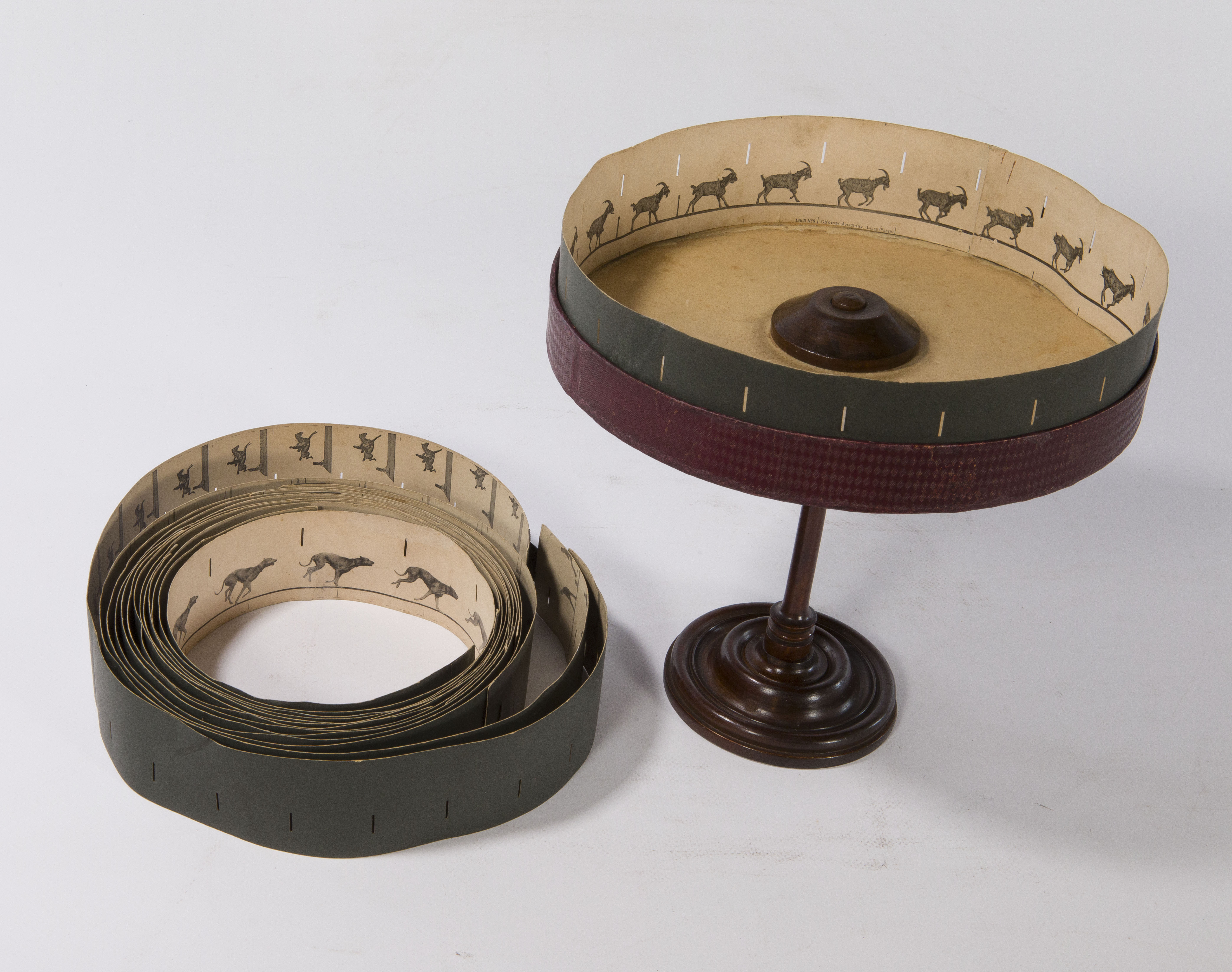 zootropio di Ottomar Anschütz G.m.b.H (prima metà XX)