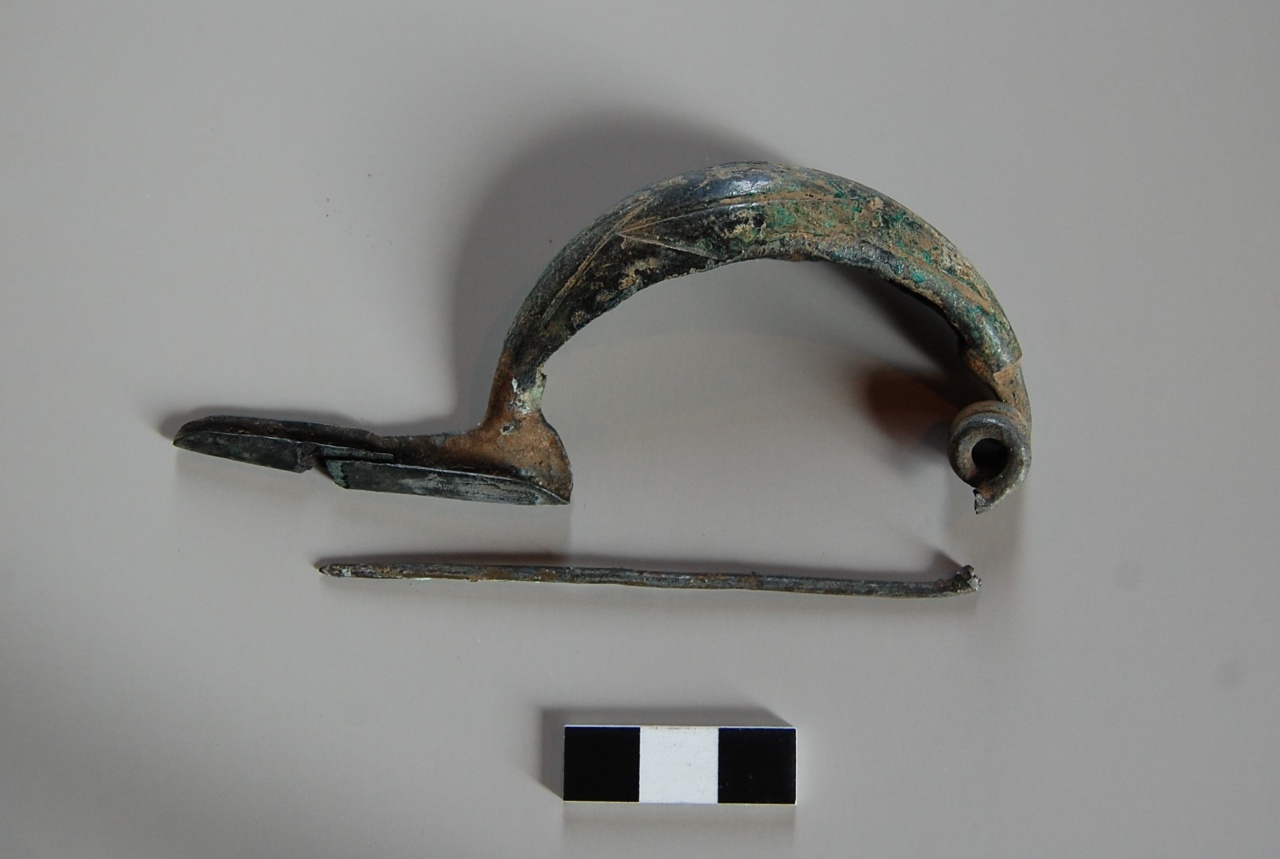 Fibula a navicella - Cultura di Golasecca (GIC) (VII sec. a. C)