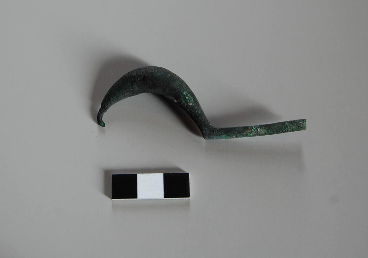 Fibula a sanguisuga - Cultura di Golasecca (GIIA/B - GIIB) (VI sec. a.C)