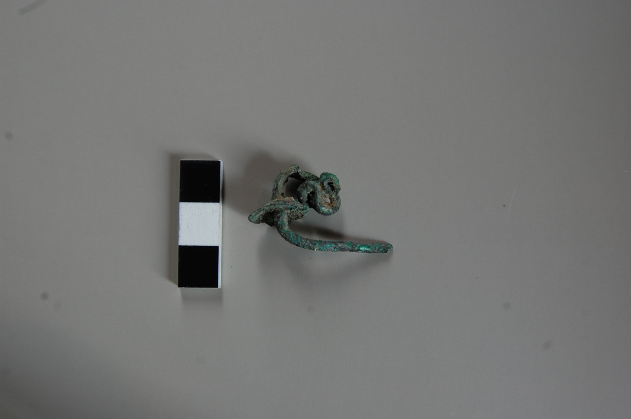 Fibula ad arco serpeggiante/ frammento - Cultura di Golasecca (GIIB) (Seconda meta' VI sec. a. C)