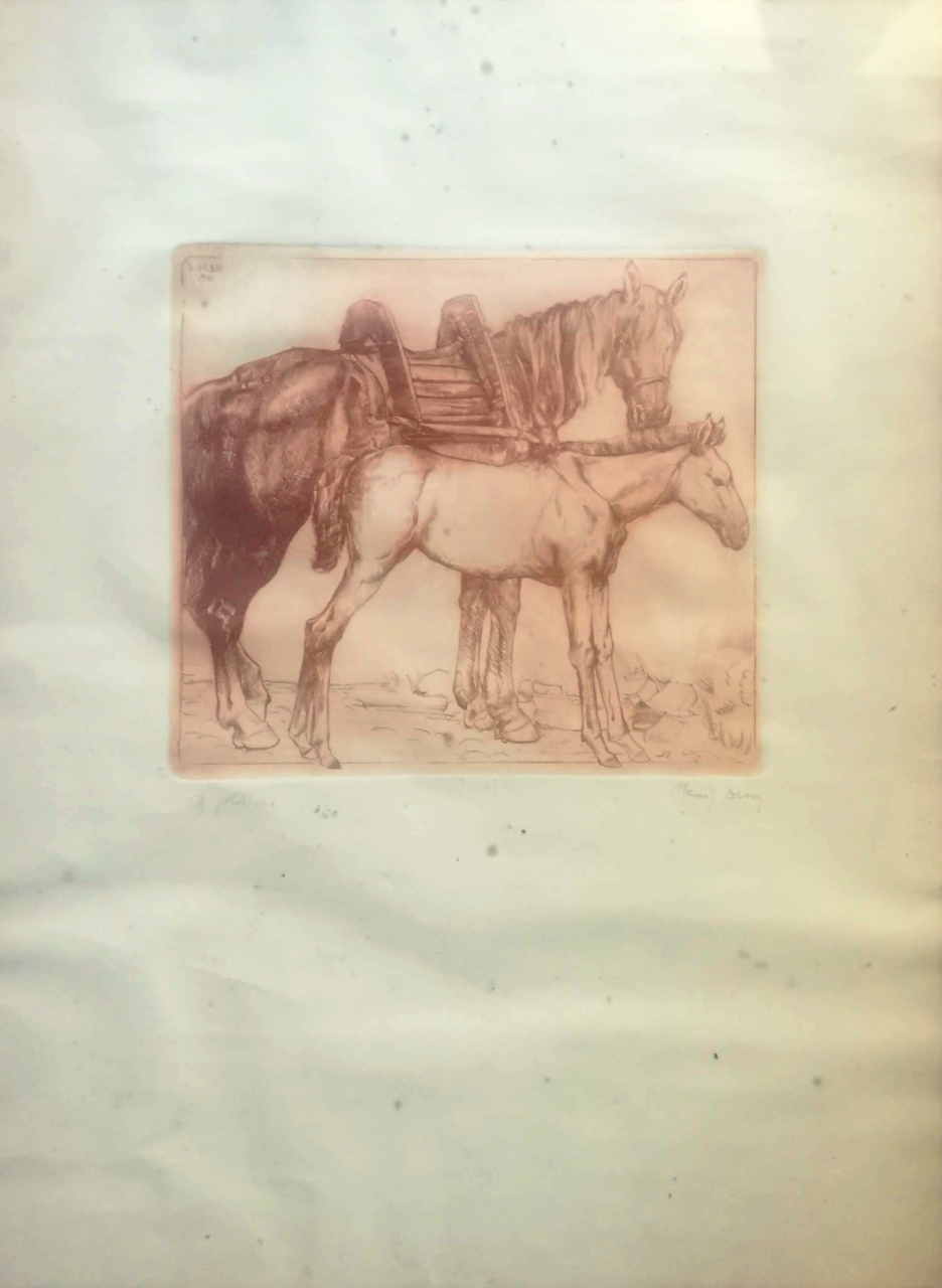 Il puledrino, animali (stampa) di Dessy Stanis, Dessy Stanis, Dessy Stanis (secondo quarto XX)