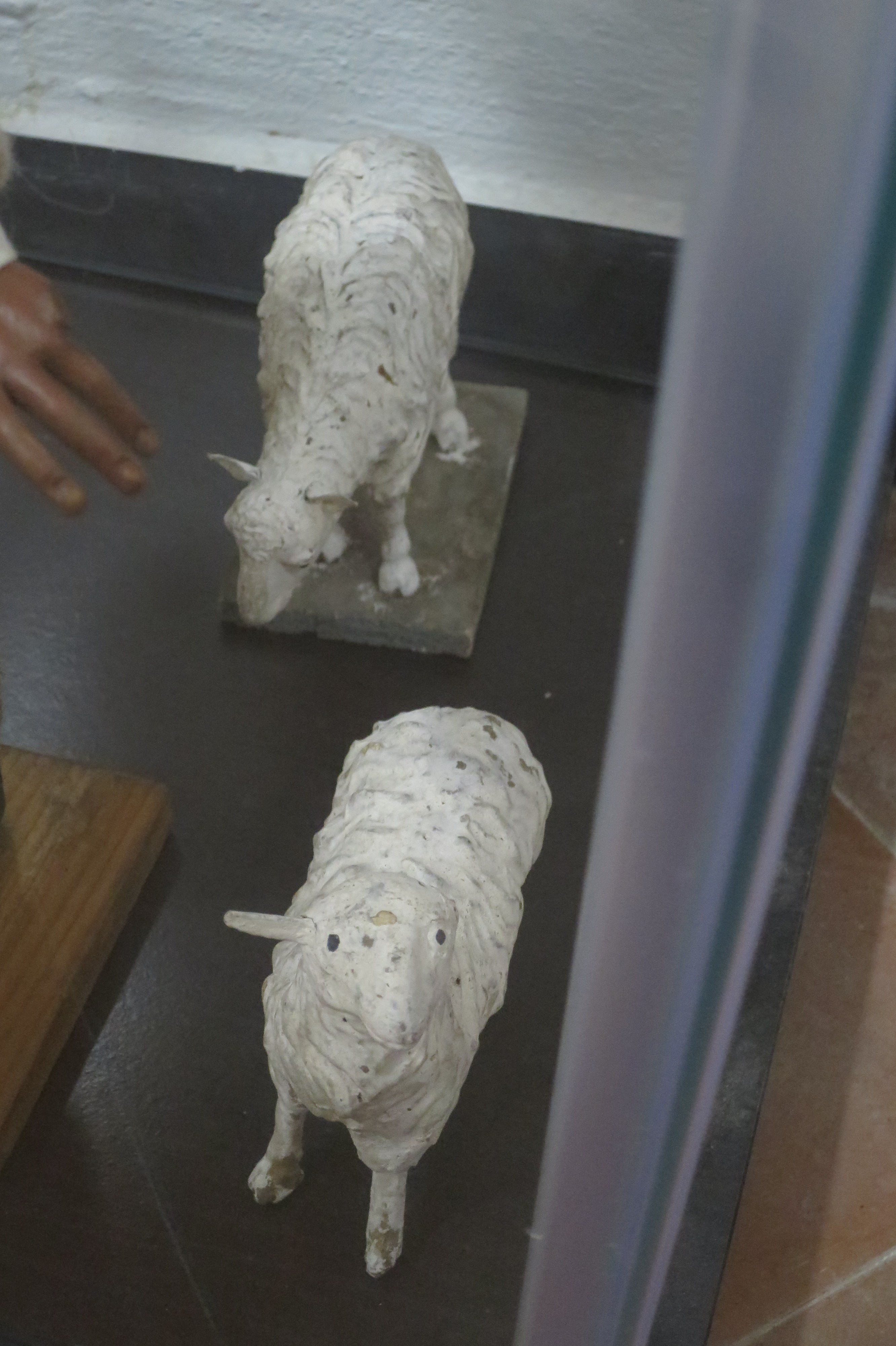 Pecora (statuetta di presepio, elemento d'insieme) - manifattura genovese (XVIII)