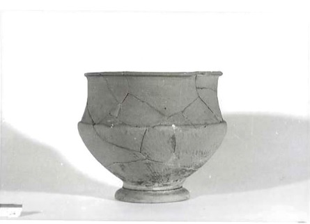 coppa/ carenata (SECOLI/ I)