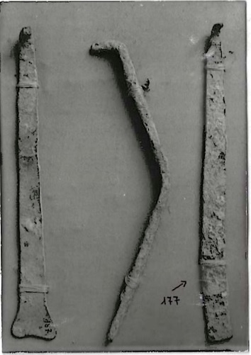 asticciola (non determinabile)