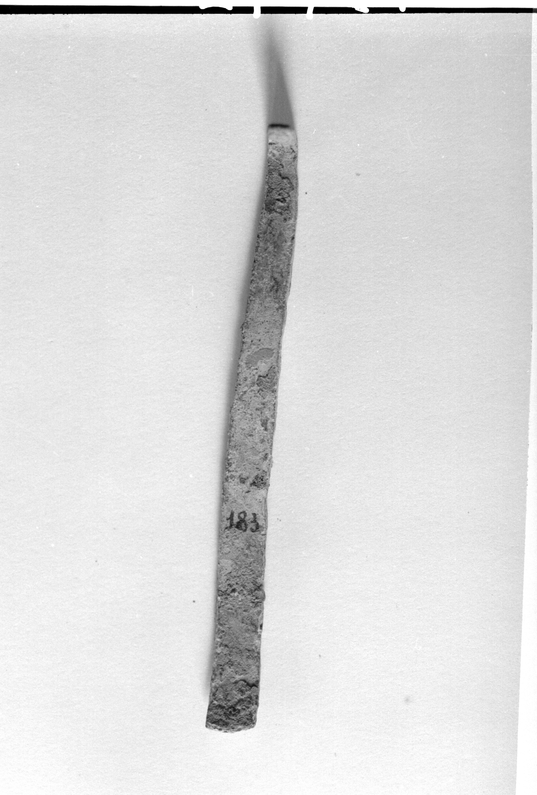 asticciola (non determinabile)