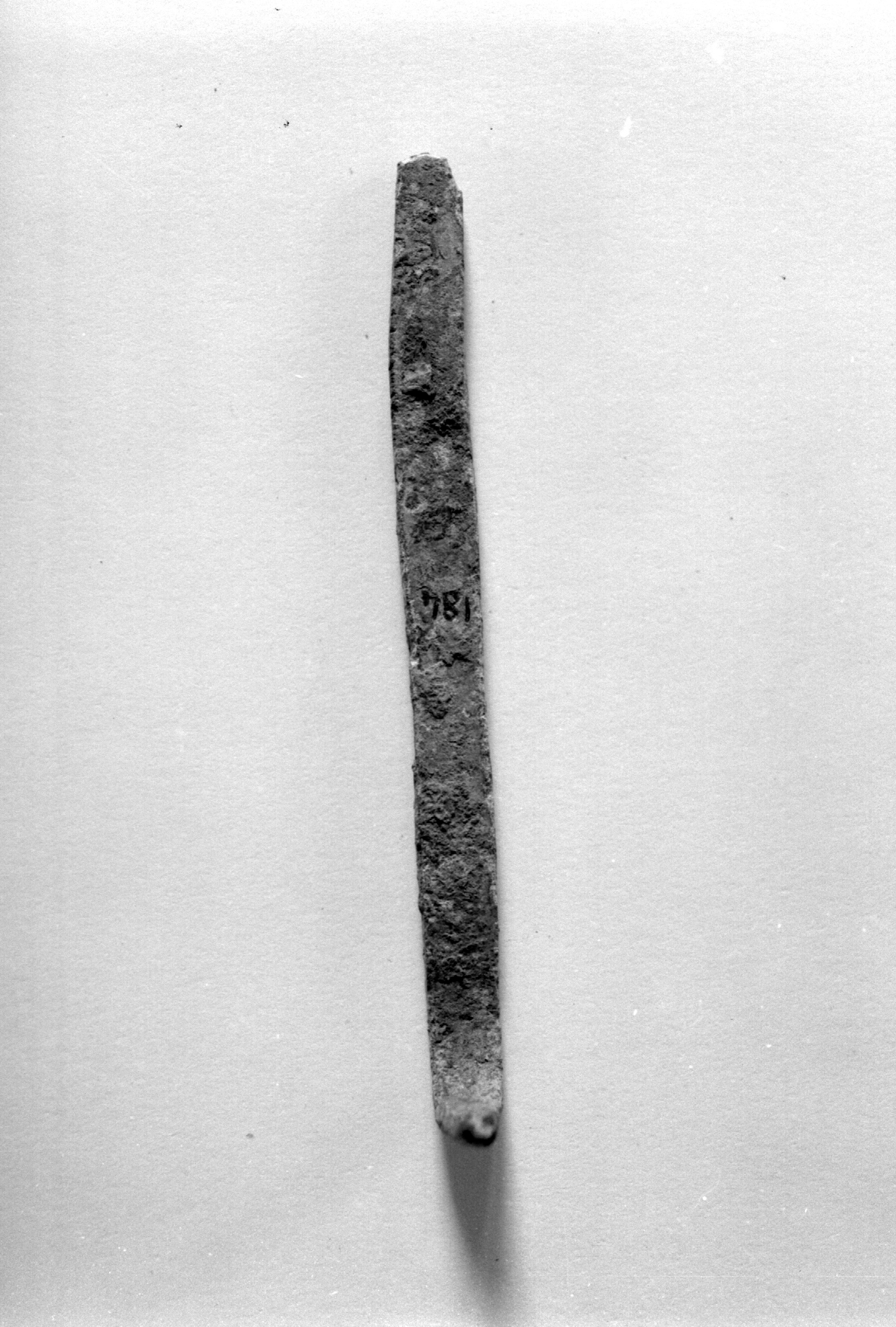 asticciola (non determinabile)