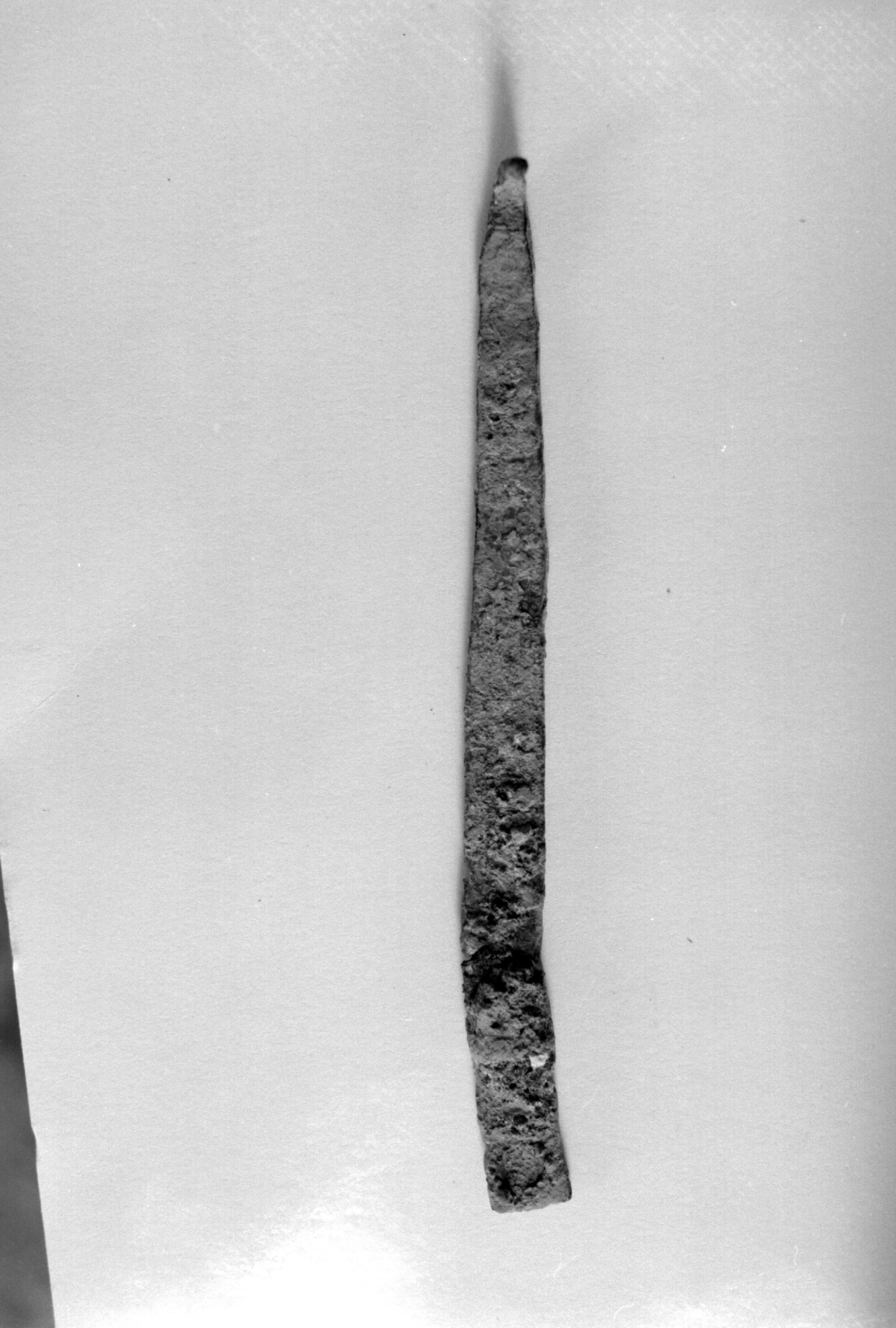 asticciola (non determinabile)