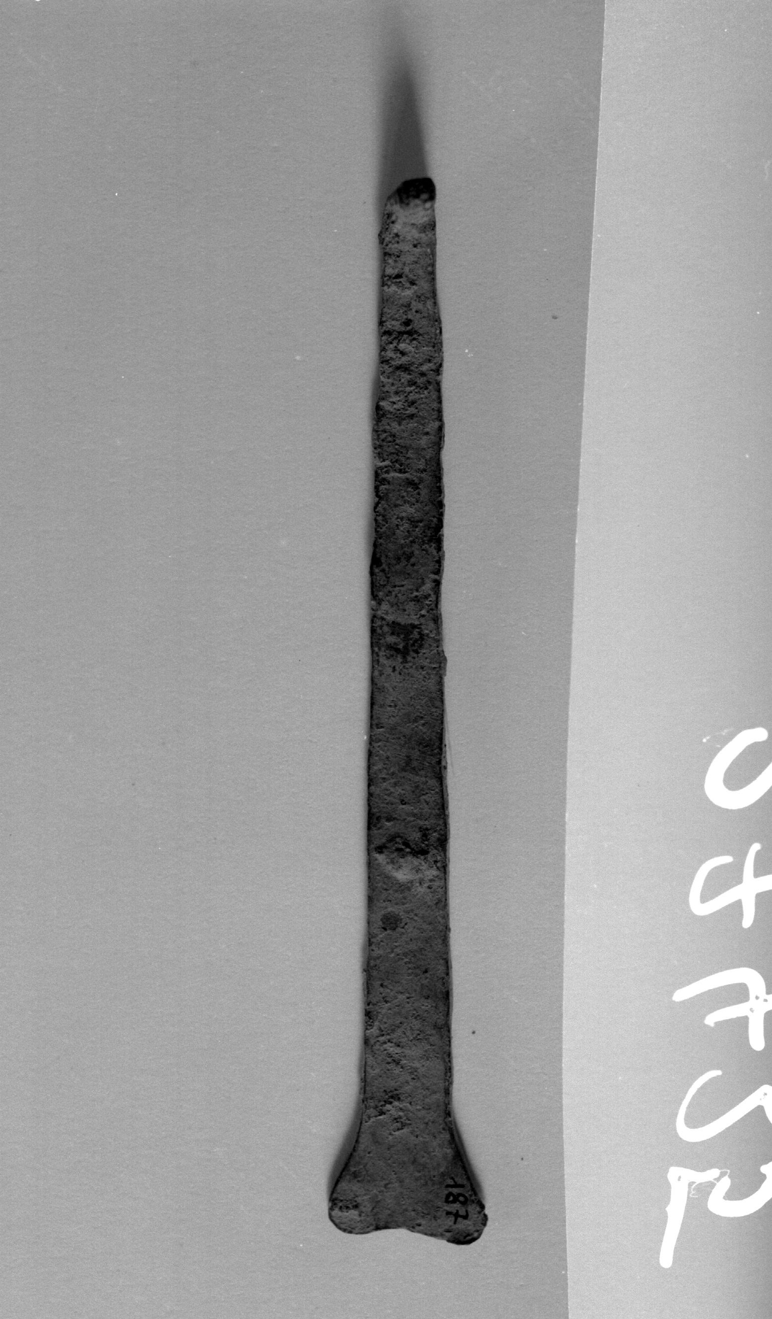 asticciola (non determinabile)