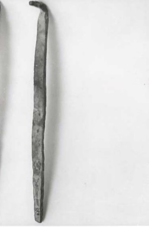 asticciola (non determinabile)