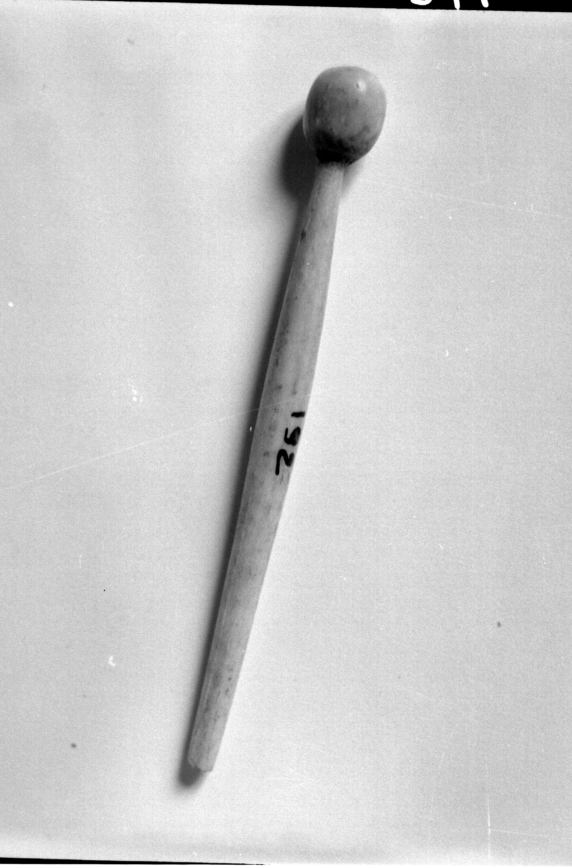 ago/ crinale (PERIODIZZAZIONI/ STORIA/ Età antica/ Età romana)