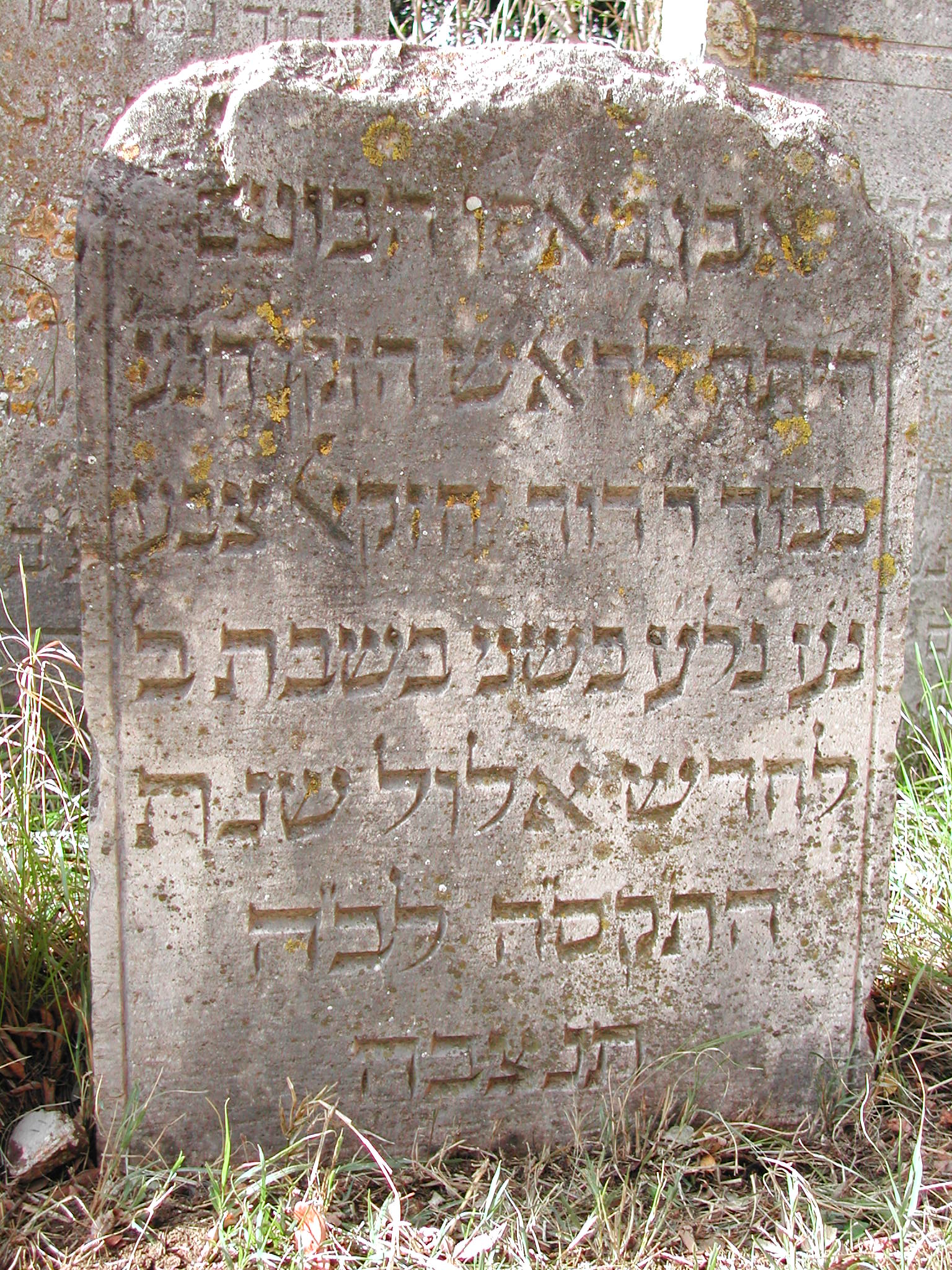 monumento funebre - a edicola centinata - ambito ebraico (inizio XVIII)