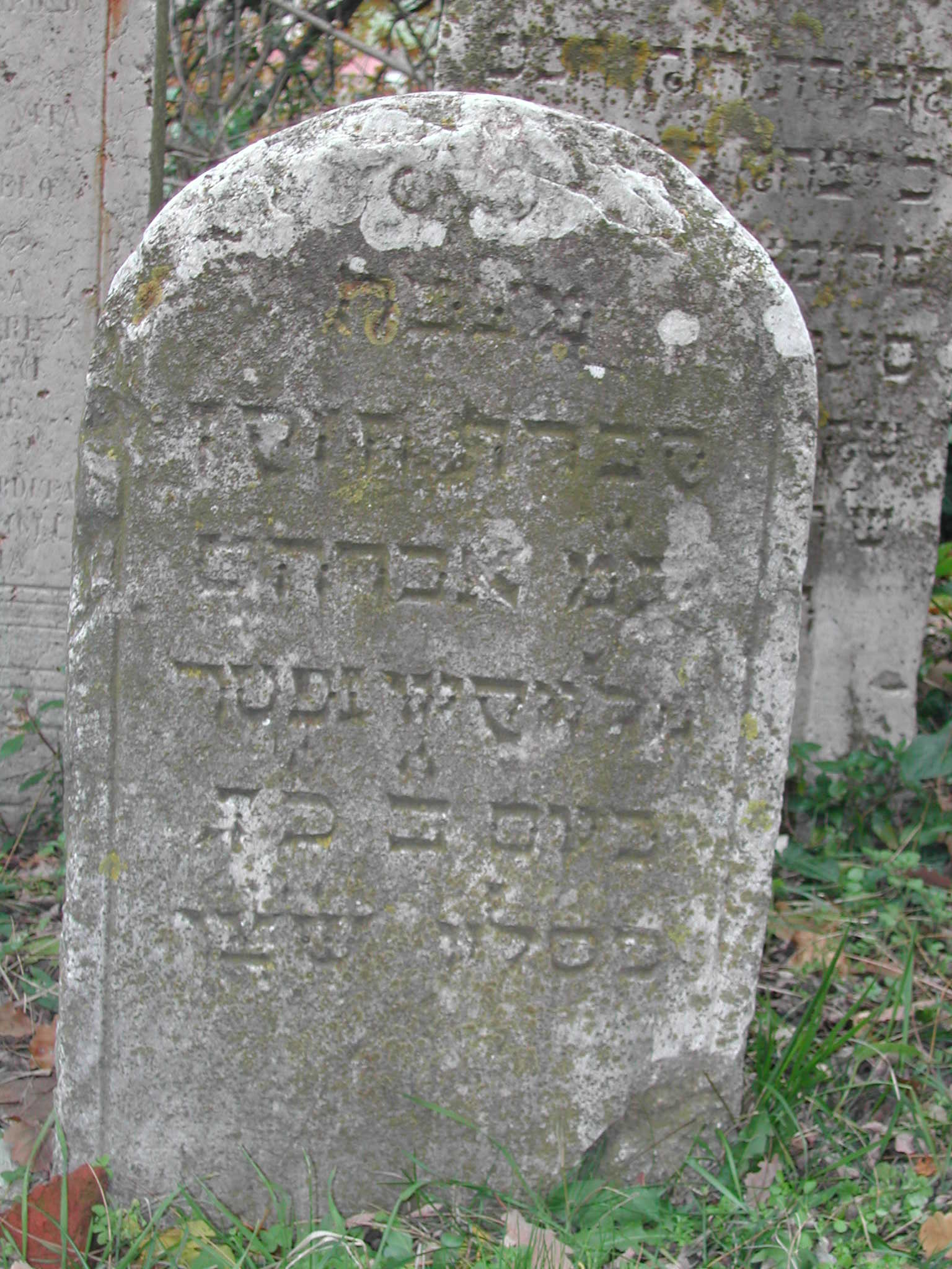 monumento funebre - a lastra - ambito ebraico (metà XVIII)