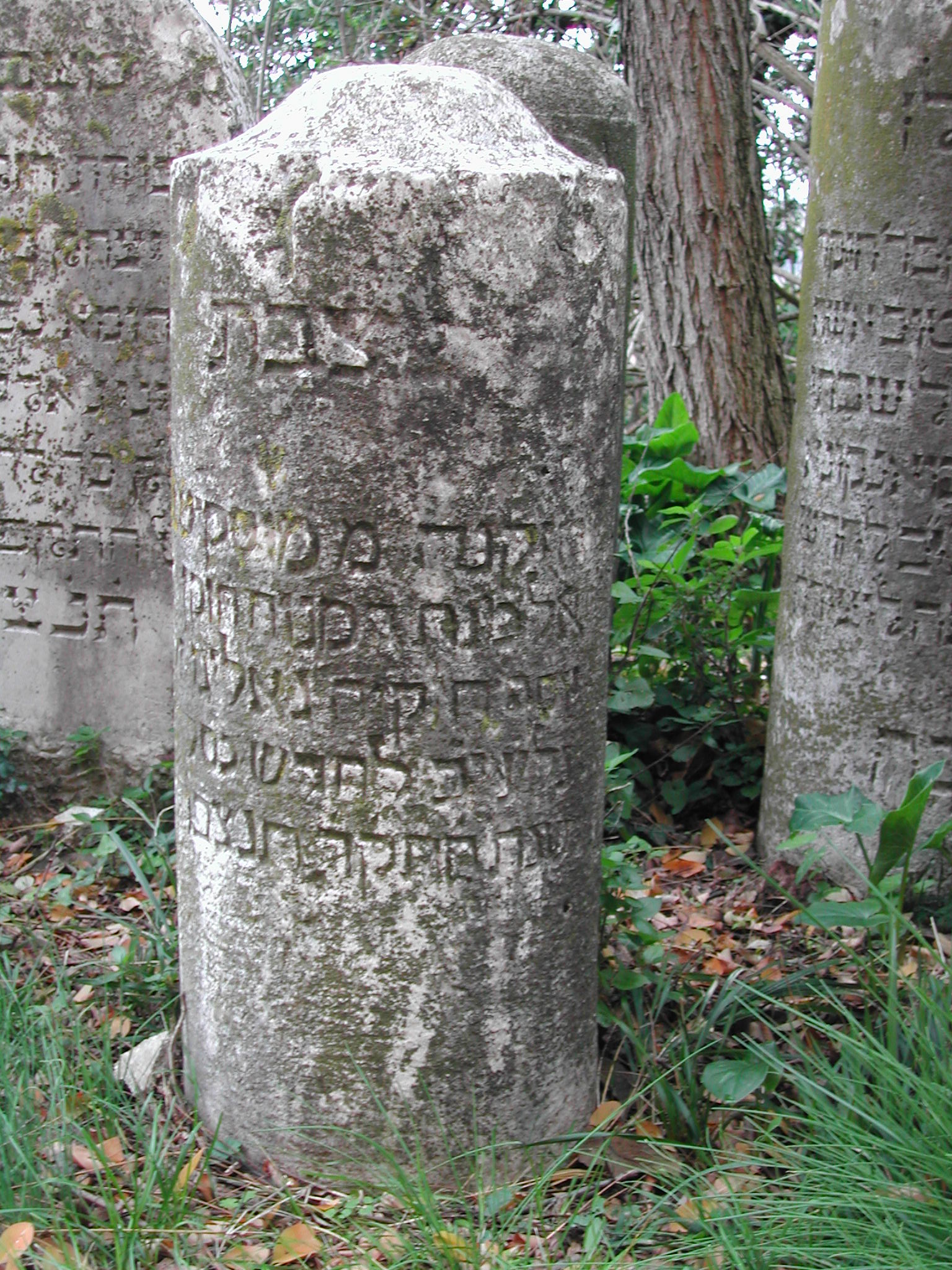 monumento funebre - a cippo - ambito ebraico (metà XVIII)
