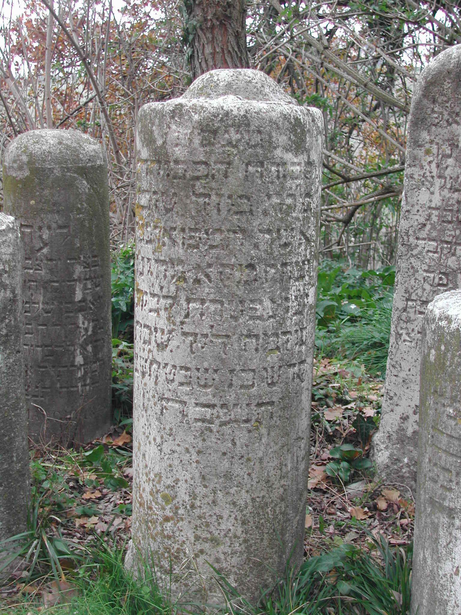 monumento funebre - a cippo - ambito ebraico (secondo quarto XVIII)