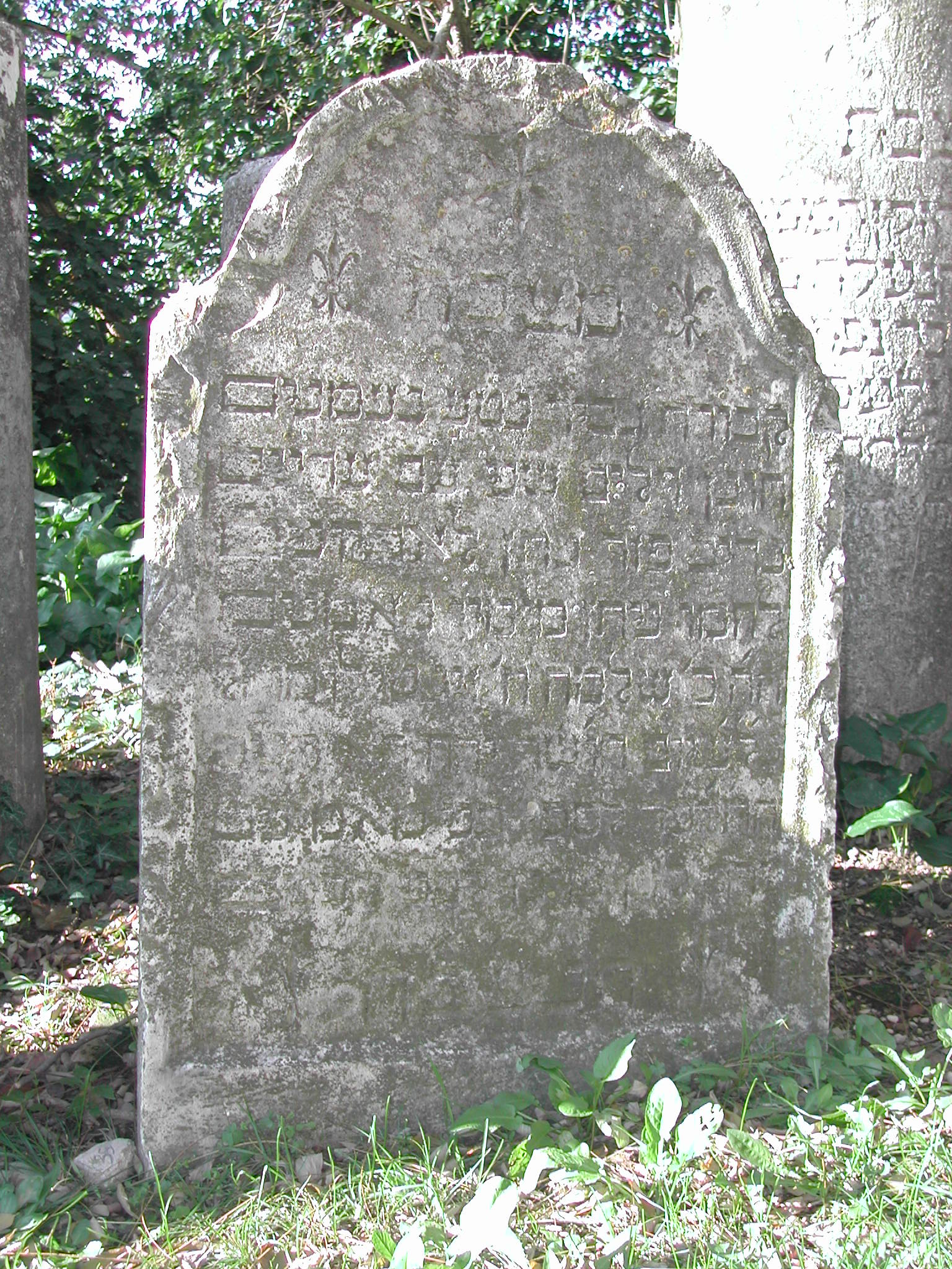 monumento funebre - a lastra - ambito ebraico (inizio XIX)