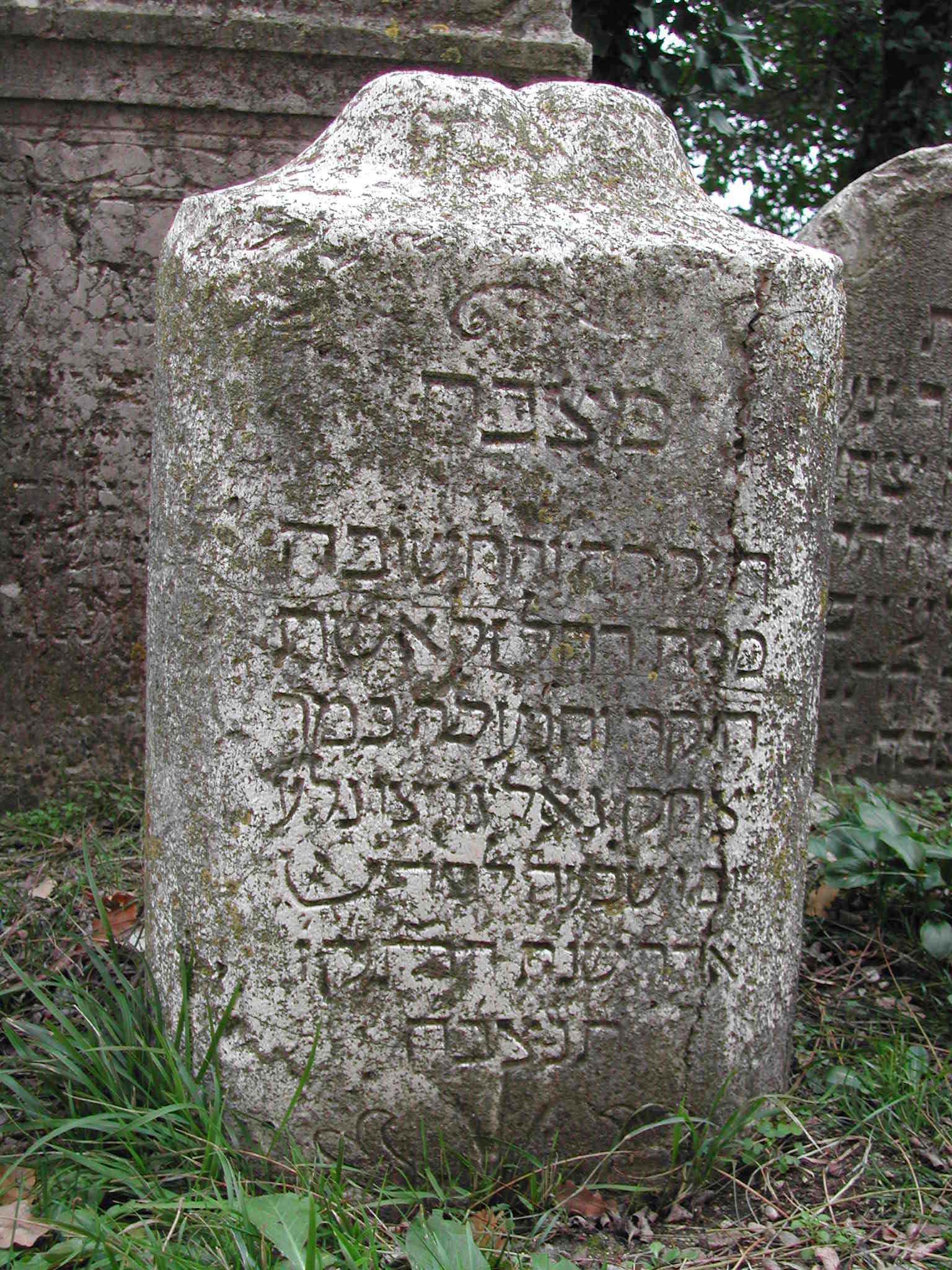 monumento funebre - a lastra - ambito ebraico (metà XVIII)