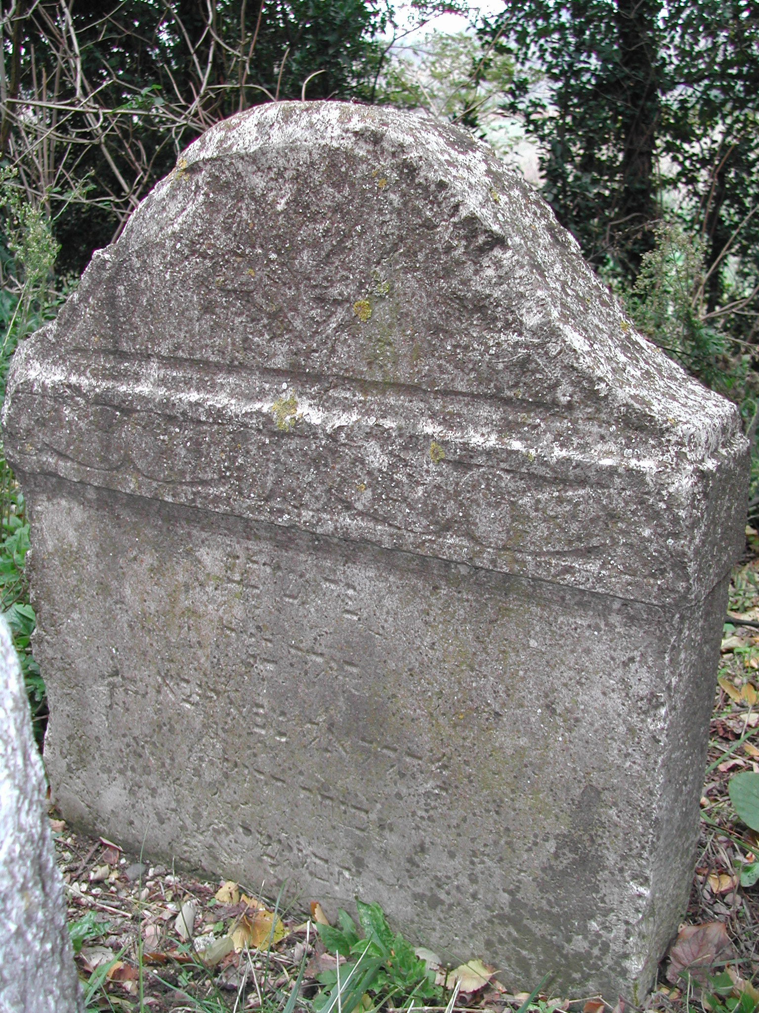 monumento funebre - a lastra - ambito ebraico (seconda metà XVIII)
