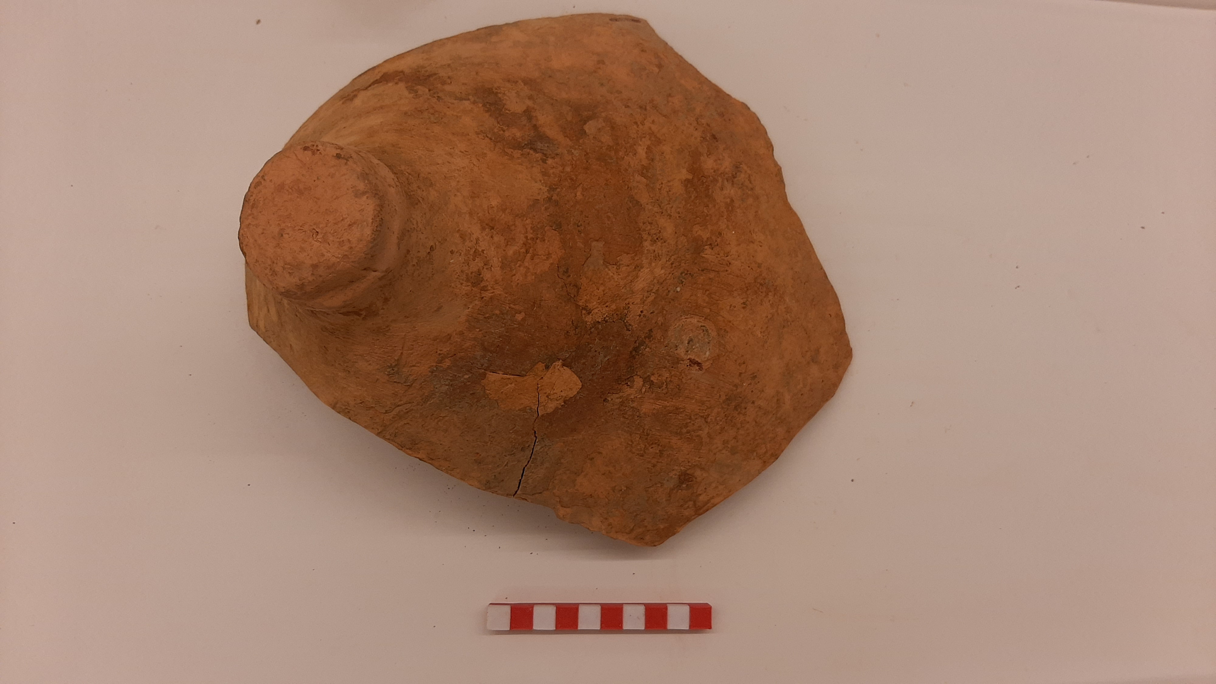 SINGOLO OGGETTO/ anfora, seconda metà I a.C. – fine I d.C