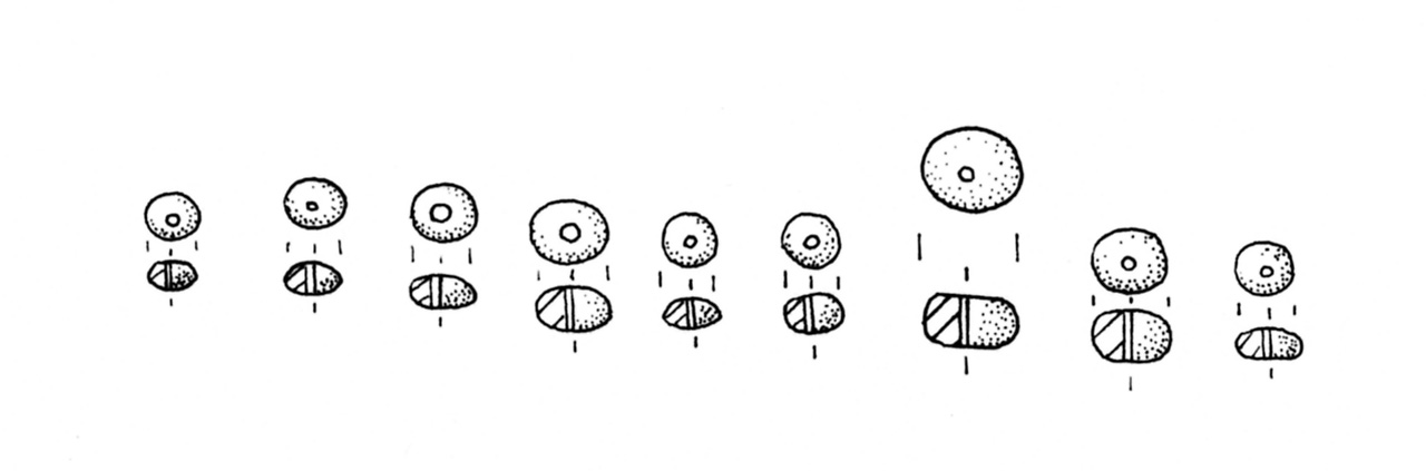 vaghi - ambito veneto (SECOLI/ VI a.C)