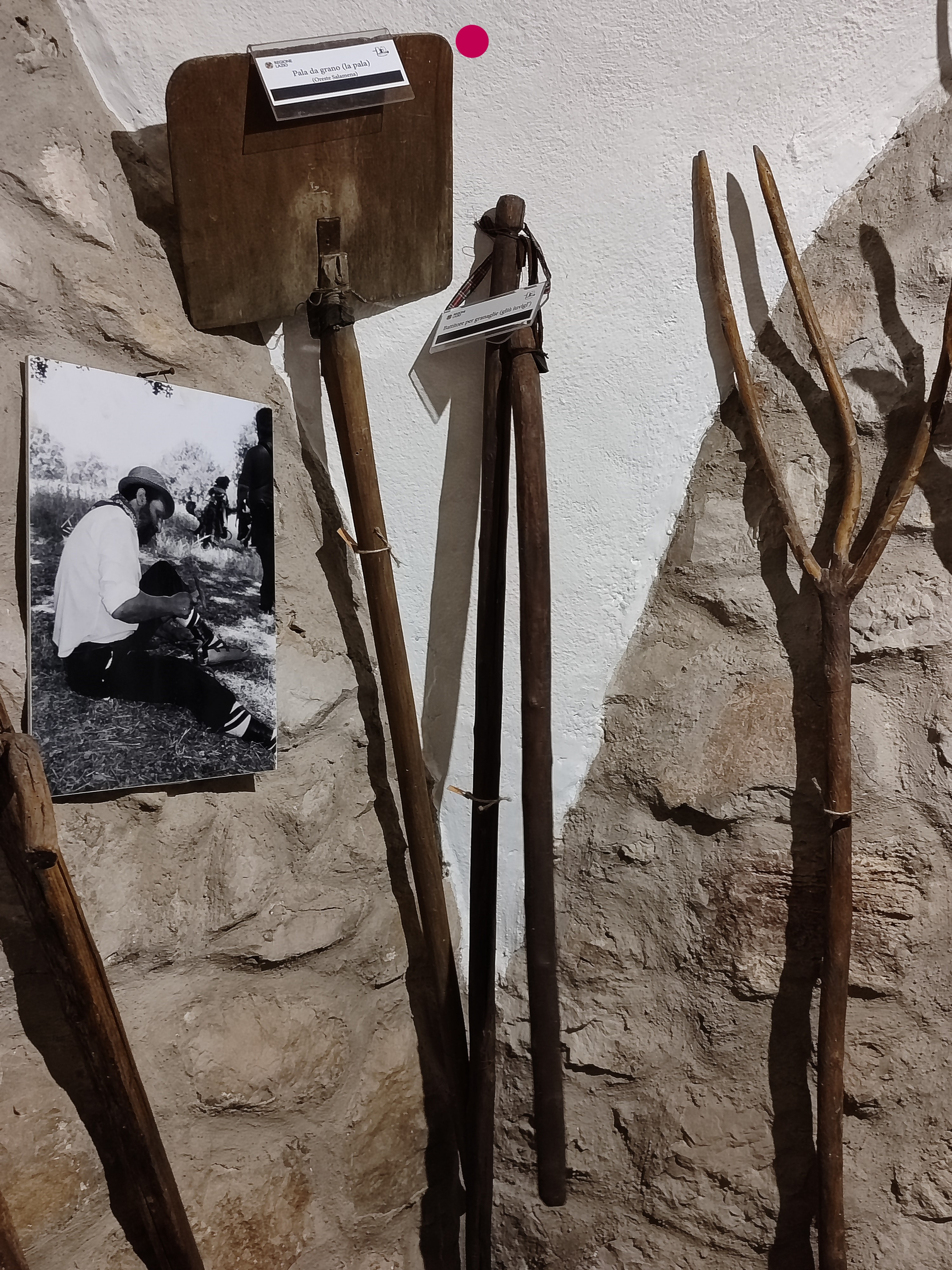 ventilabro, pala per grano (ventilabro, STRUMENTI E ACCESSORI/ AGRO-SILVO-PASTORALI)