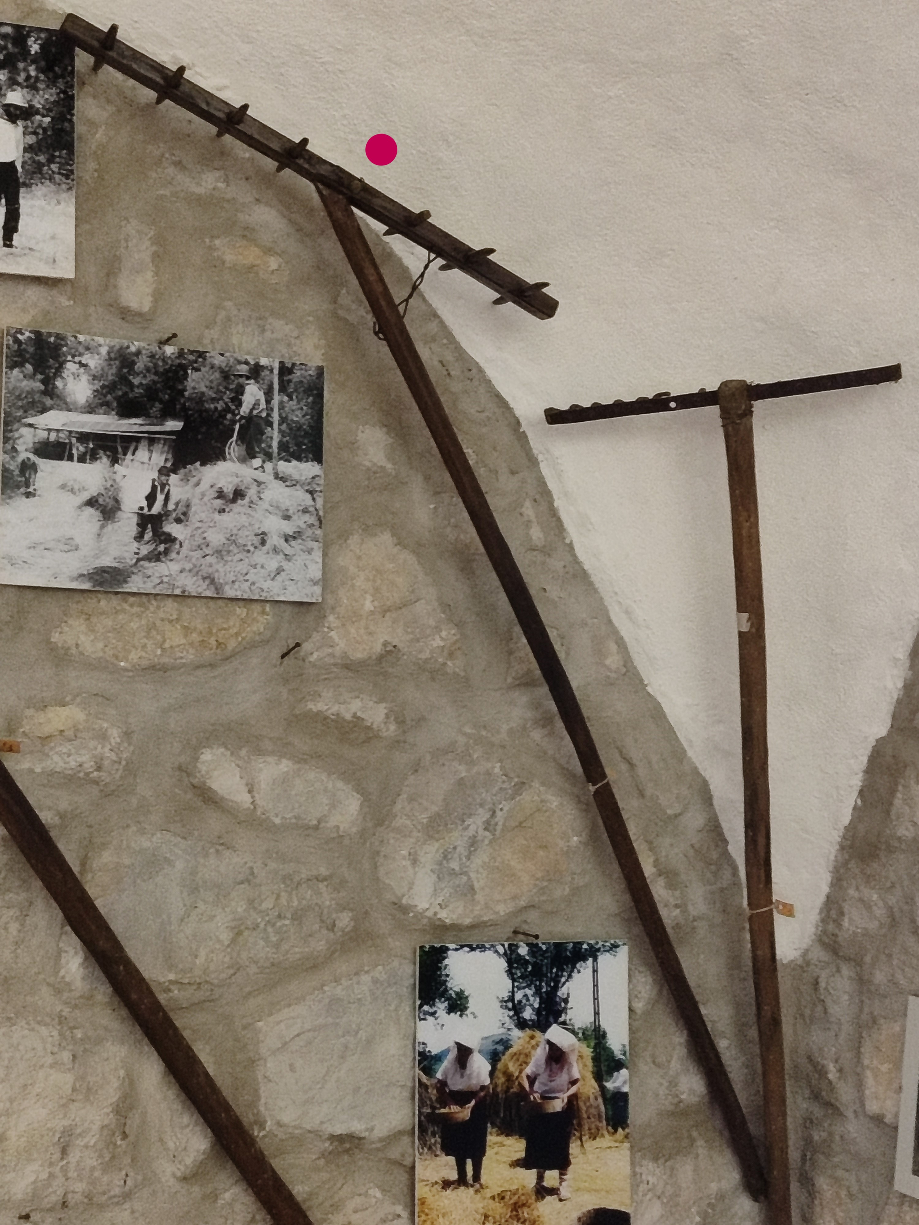 rastrello (rastrello, STRUMENTI E ACCESSORI/ AGRO-SILVO-PASTORALI)