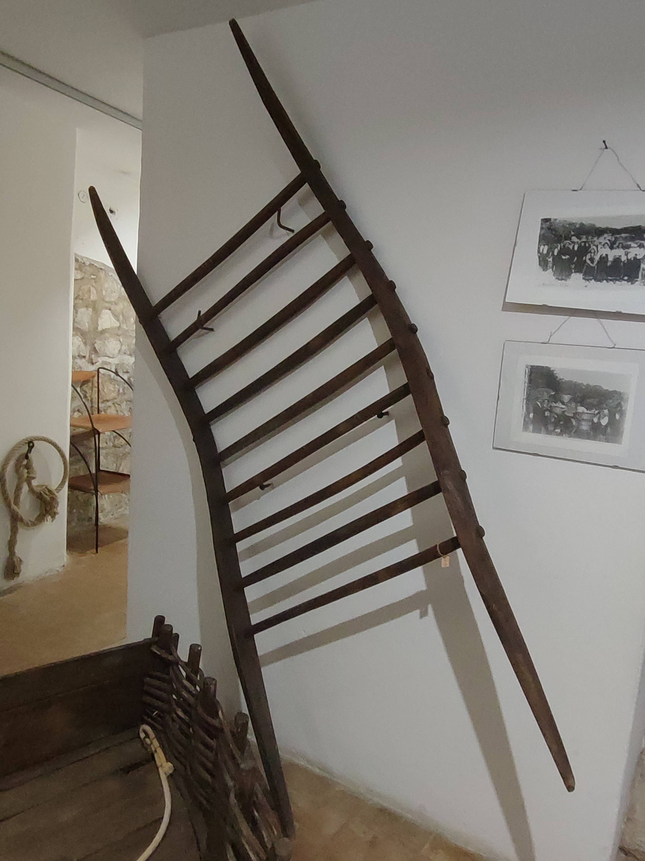 treggia (treggia, MEZZI DI TRASPORTO/ A FORZA ANIMALE)