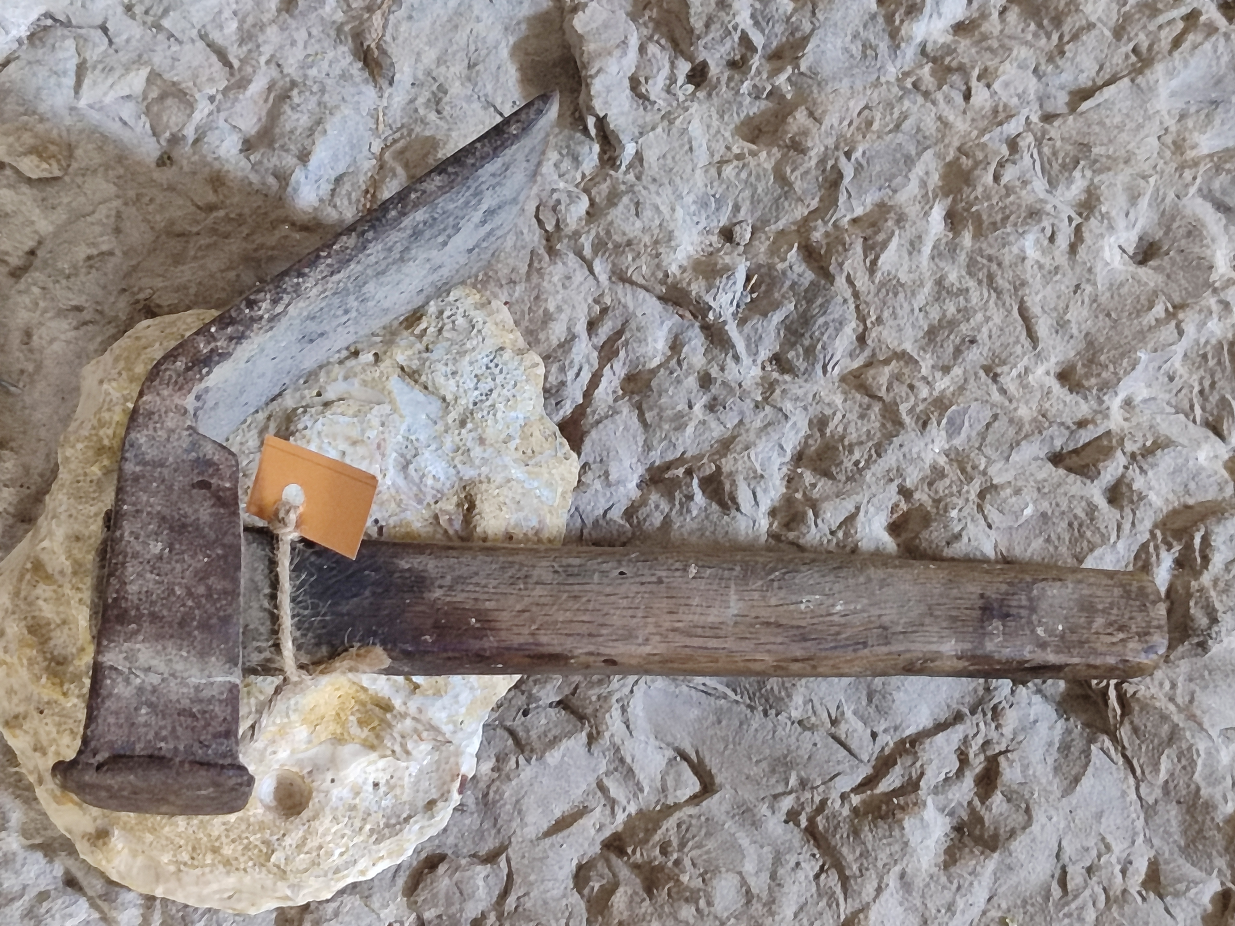 zappa, zappa da montagna (ascia, a zappa, STRUMENTI E ACCESSORI/ AGRO-SILVO-PASTORALI)