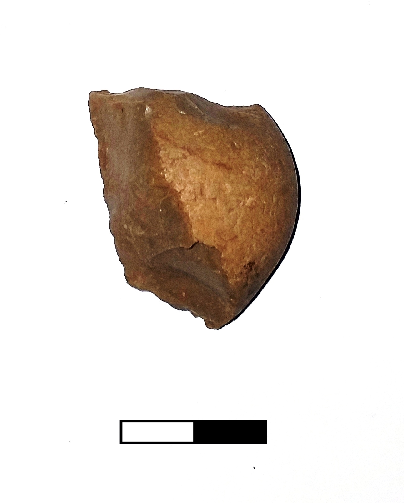 raschiatoio, Industria litica, Raschiatoio déjeté (metà/ fine PERIODIZZAZIONI/ PREISTORIA/ Paleolitico/ Paleolitico medio)