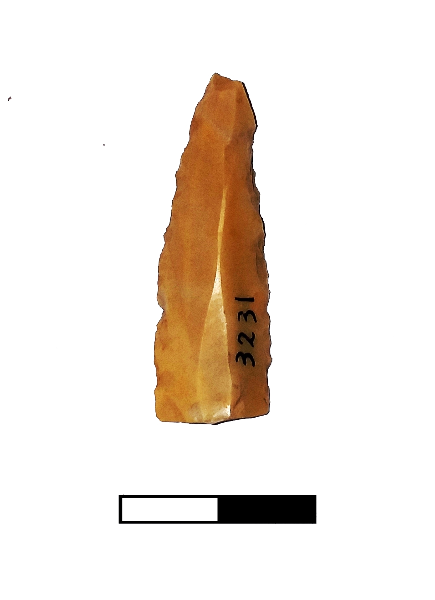 lama, Industria litica, Lama ritoccata (PERIODIZZAZIONI/ PREISTORIA/ Paleolitico/ Paleolitico superiore)
