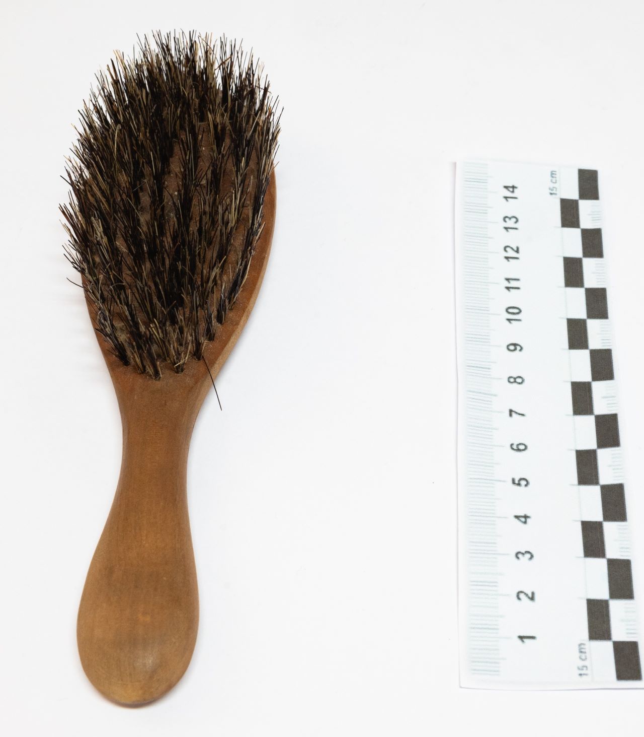 spazzola (prima metà SECOLI/ XX)