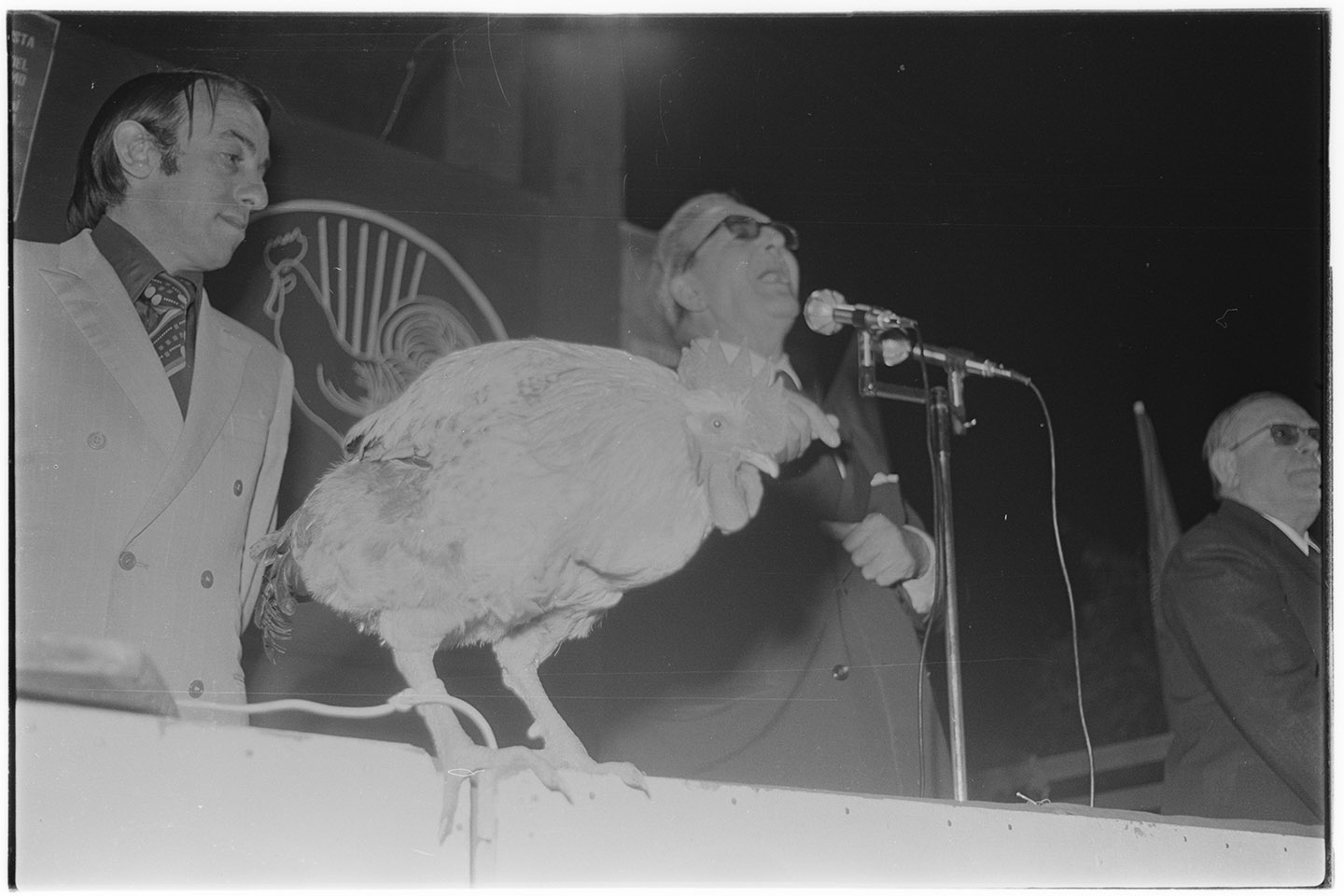 Uomini politici - Angrisani, Luigi (negativo, insieme) di Jovane, Francesco (ultimo quarto XX)