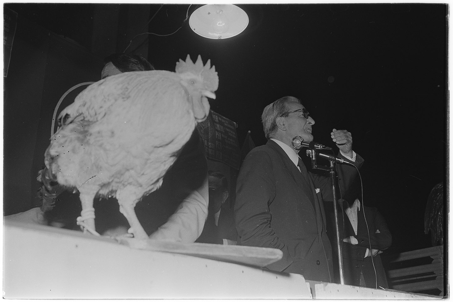 Uomini politici - Angrisani, Luigi (negativo, insieme) di Jovane, Francesco (ultimo quarto XX)