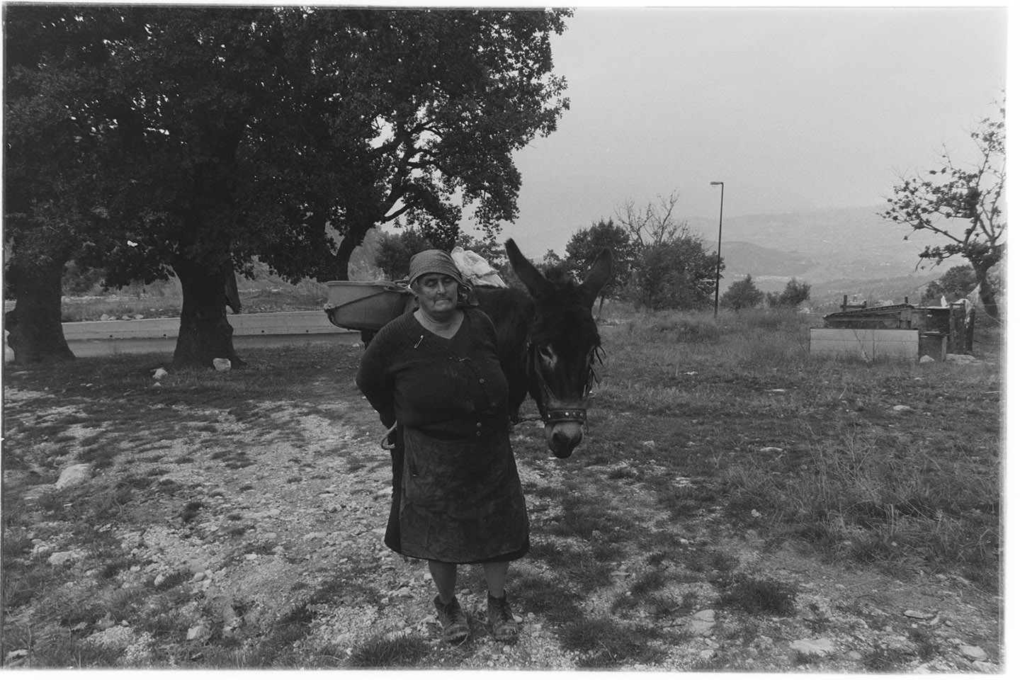 Santomenna (SA) - Campagna (negativo, insieme) di Alfa Press Service s.n.c. – Agenzia Fotogiornalistica (ultimo quarto XX)