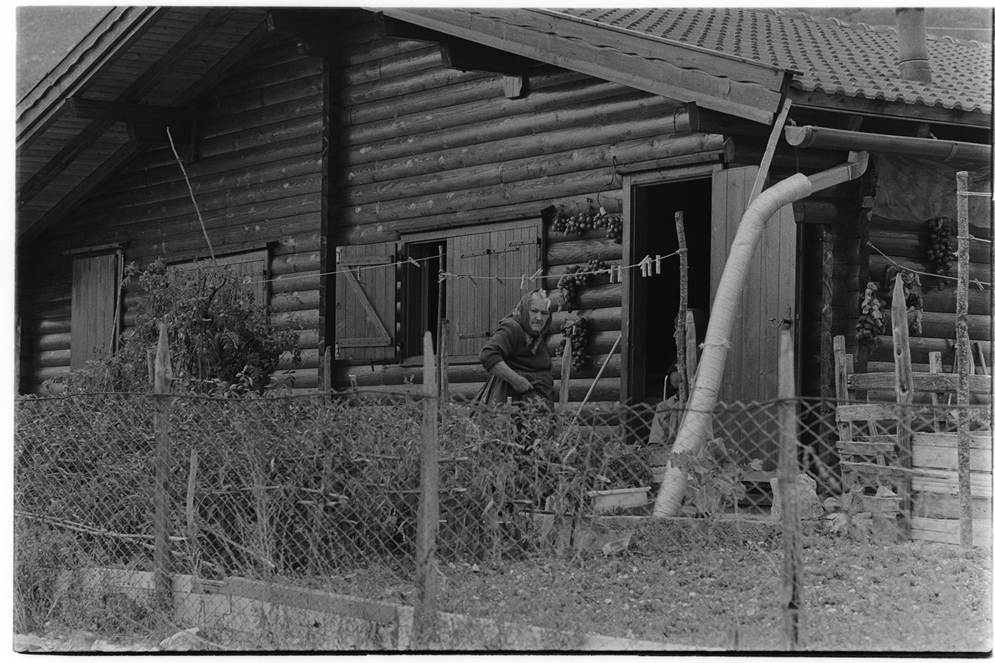 Santomenna (SA) - Case prefabbricate (negativo, insieme) di Alfa Press Service s.n.c. – Agenzia Fotogiornalistica (ultimo quarto XX)