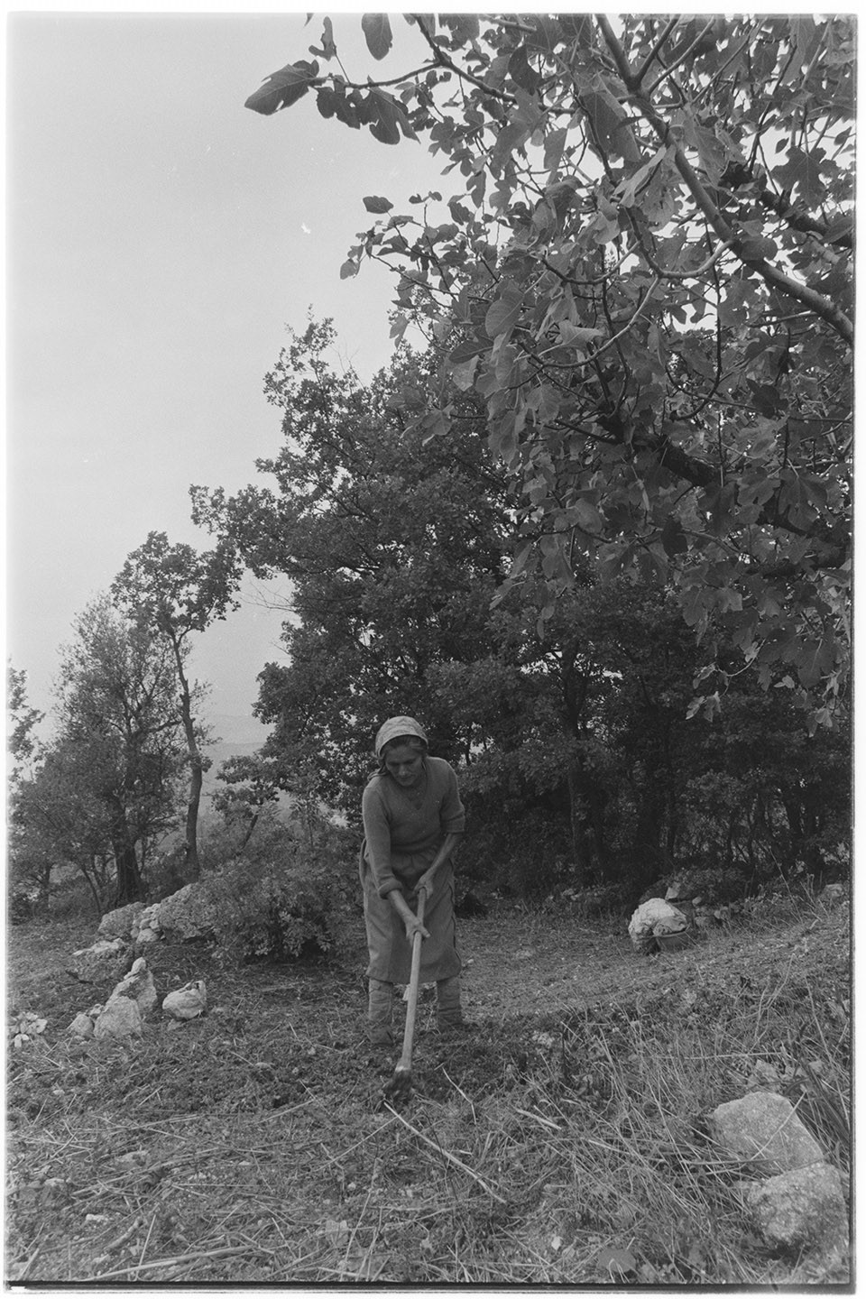 Santomenna (SA) - Contadina (negativo, insieme) di Alfa Press Service s.n.c. – Agenzia Fotogiornalistica (ultimo quarto XX)