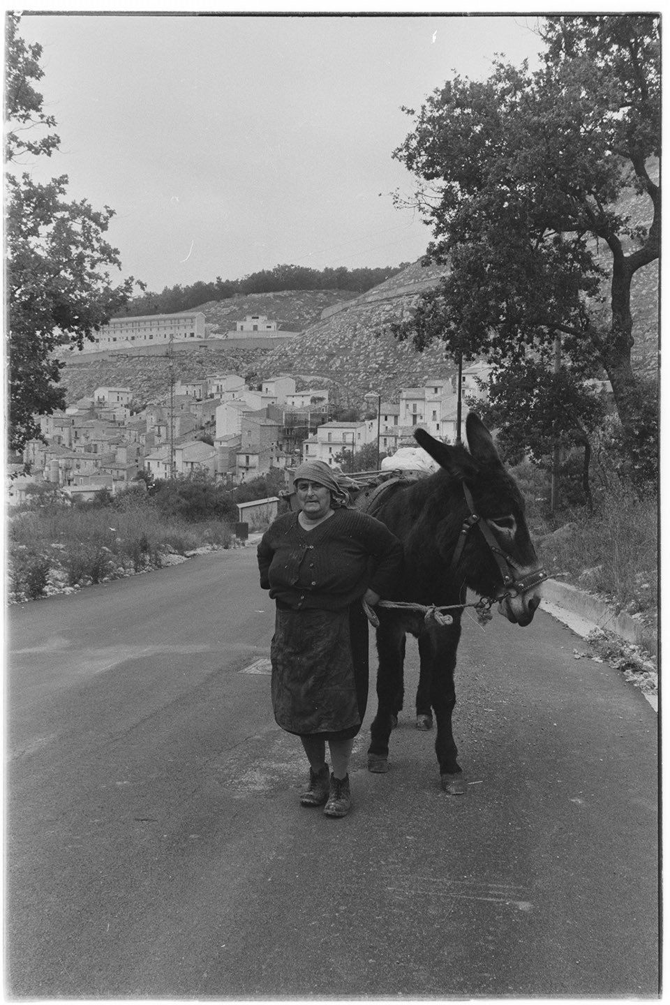 Santomenna (SA) - Contadina con asino (negativo, insieme) di Alfa Press Service s.n.c. – Agenzia Fotogiornalistica (ultimo quarto XX)