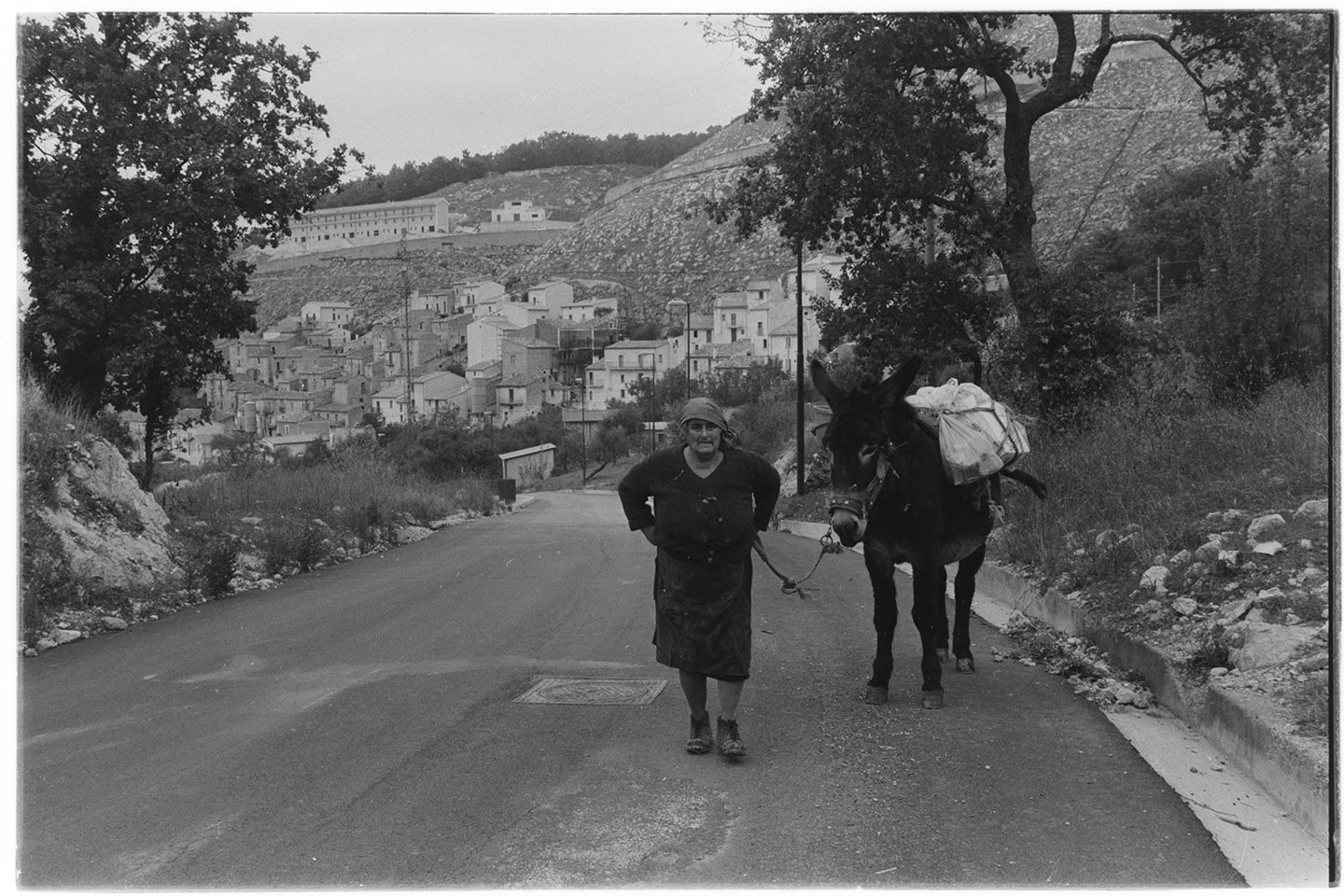 Santomenna (SA) - Contadina con asino (negativo, insieme) di Alfa Press Service s.n.c. – Agenzia Fotogiornalistica (ultimo quarto XX)