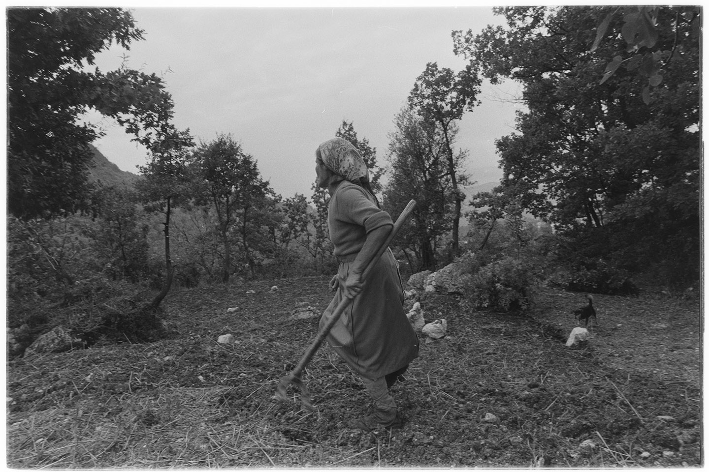 Santomenna (SA) - Contadine (negativo, insieme) di Alfa Press Service s.n.c. – Agenzia Fotogiornalistica (ultimo quarto XX)