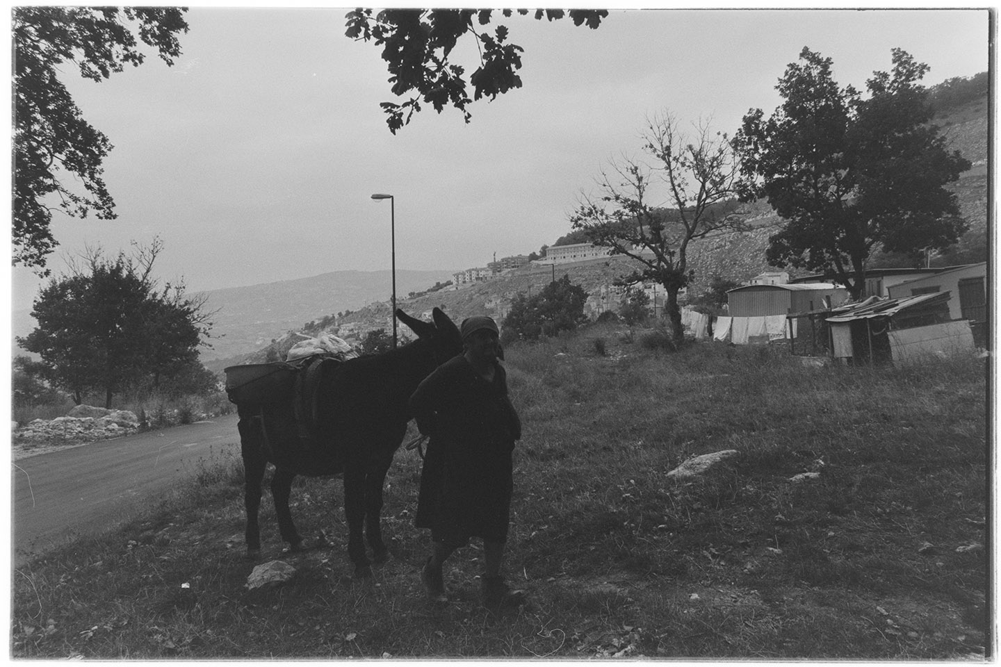 Santomenna (SA) - Contadina con asino (negativo, insieme) di Alfa Press Service s.n.c. – Agenzia Fotogiornalistica (ultimo quarto XX)