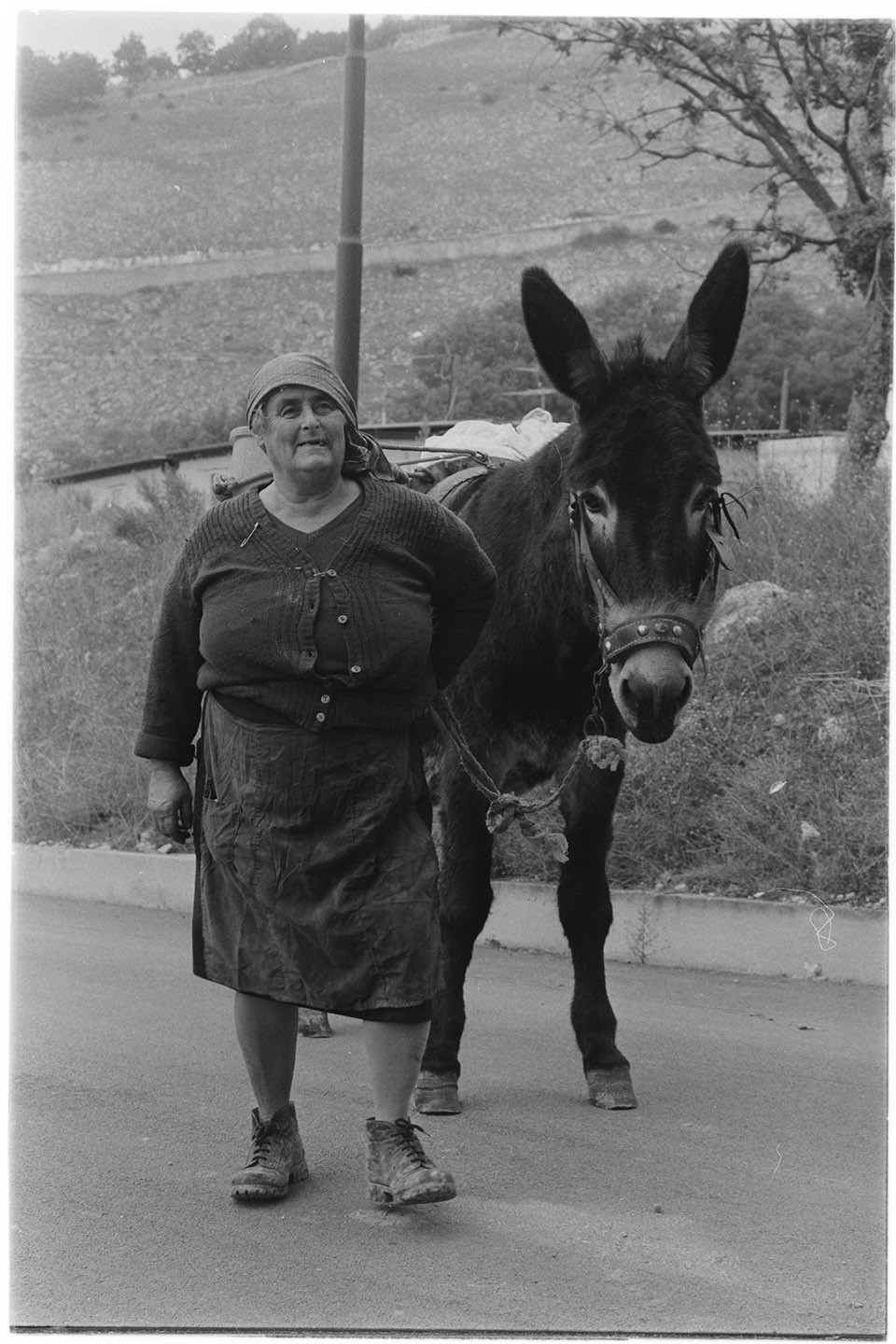 Santomenna (SA) - Contadina con asino (negativo, insieme) di Alfa Press Service s.n.c. – Agenzia Fotogiornalistica (ultimo quarto XX)