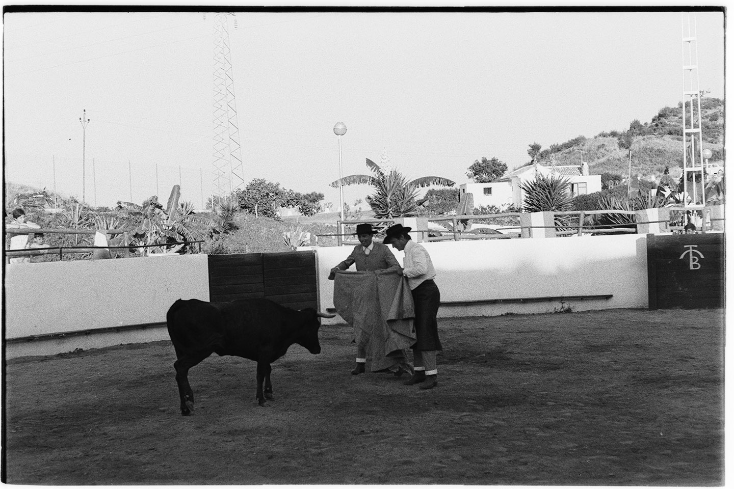 Cardiochirurghi - Barnard, Christian <1922-2001> (negativo, insieme) di Jovane, Francesco (anni settanta XX)