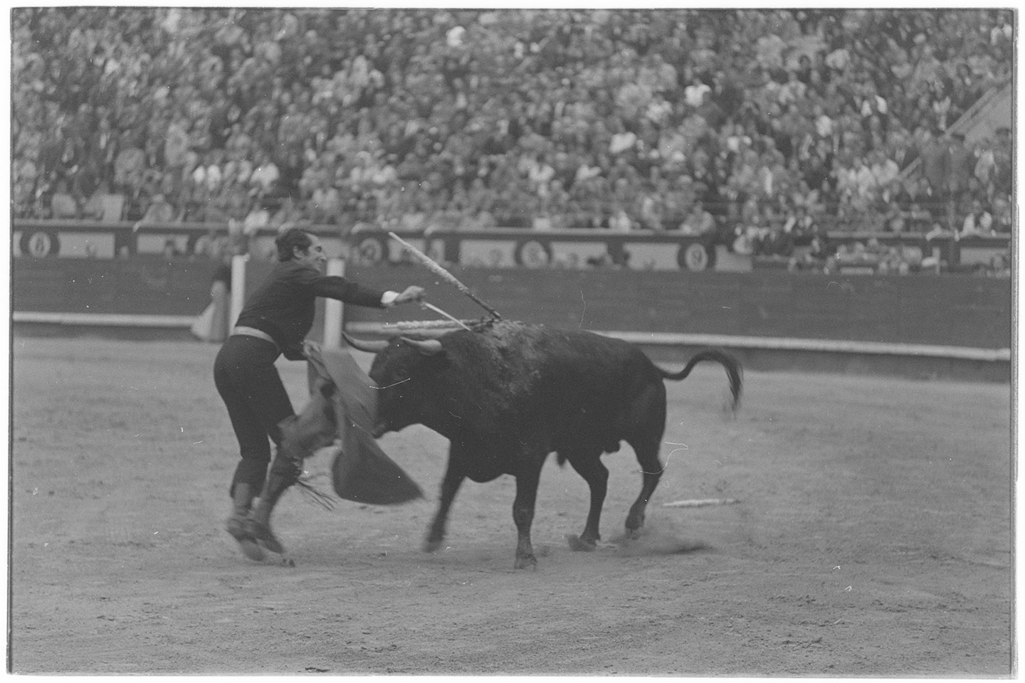 Domenguin, Luis Miguel <1926-1996> (negativo, insieme) di Jovane, Francesco (anni settanta XX)