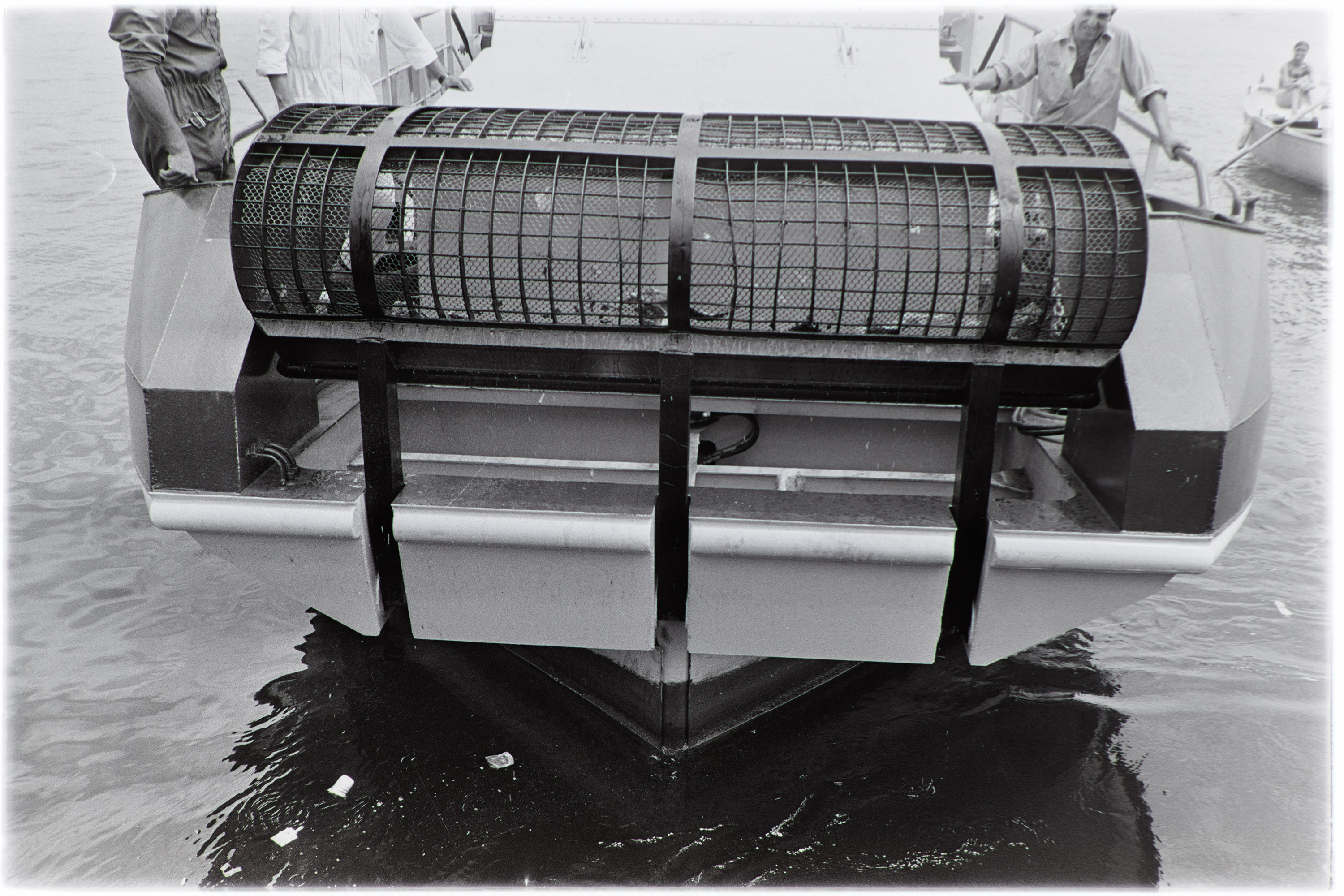 Ambiente (negativo, insieme) di Alfa Press Service s.n.c. – Agenzia Fotogiornalistica (ultimo quarto XX)