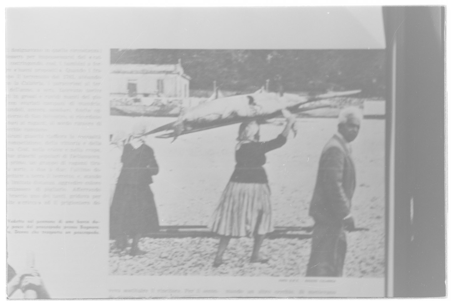 Donne pescatrici (negativo, insieme) di Alfa Press Service s.n.c. – Agenzia Fotogiornalistica (prima metà XX)