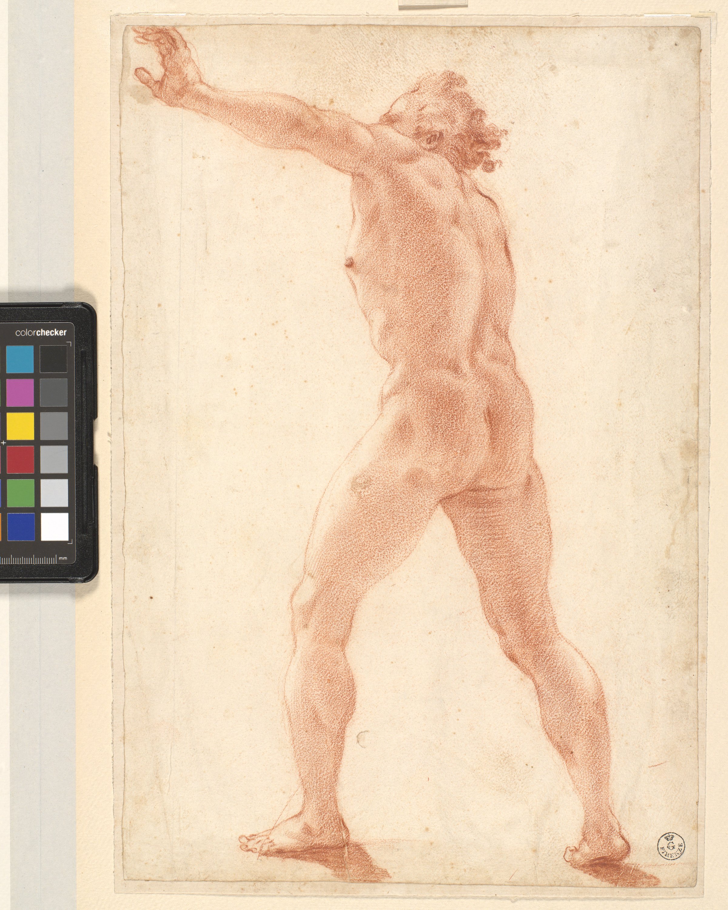 figura maschile nuda in piedi (disegno) di Cardi Ludovico detto Cigoli (fine/ inizio XVI/ XVII)