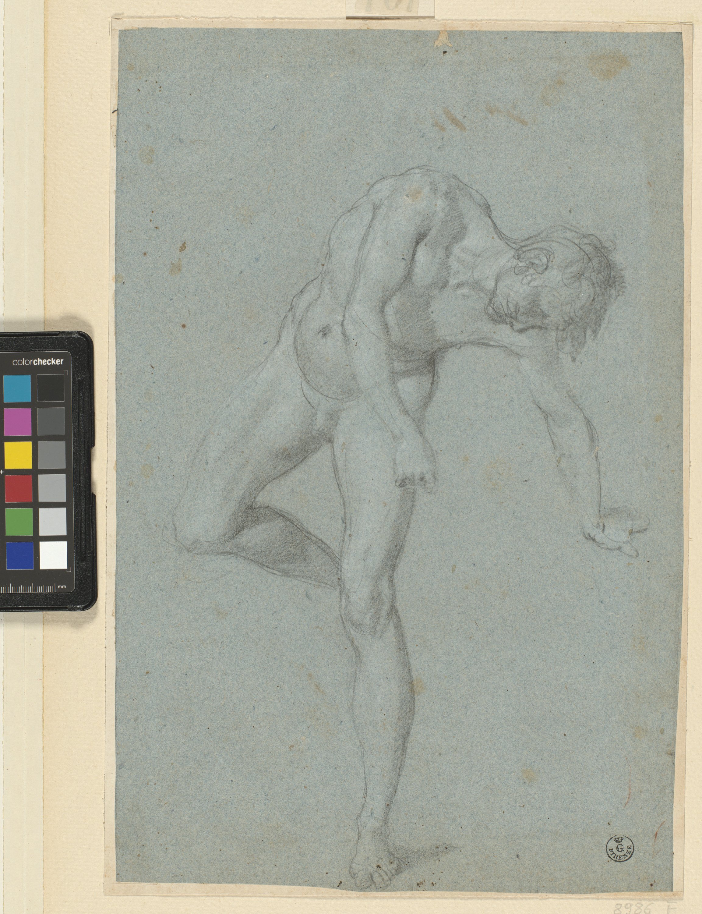 figura maschile nuda in piedi piegata verso sinistra (disegno) di Cardi Ludovico detto Cigoli (fine/ inizio XVI/ XVII)