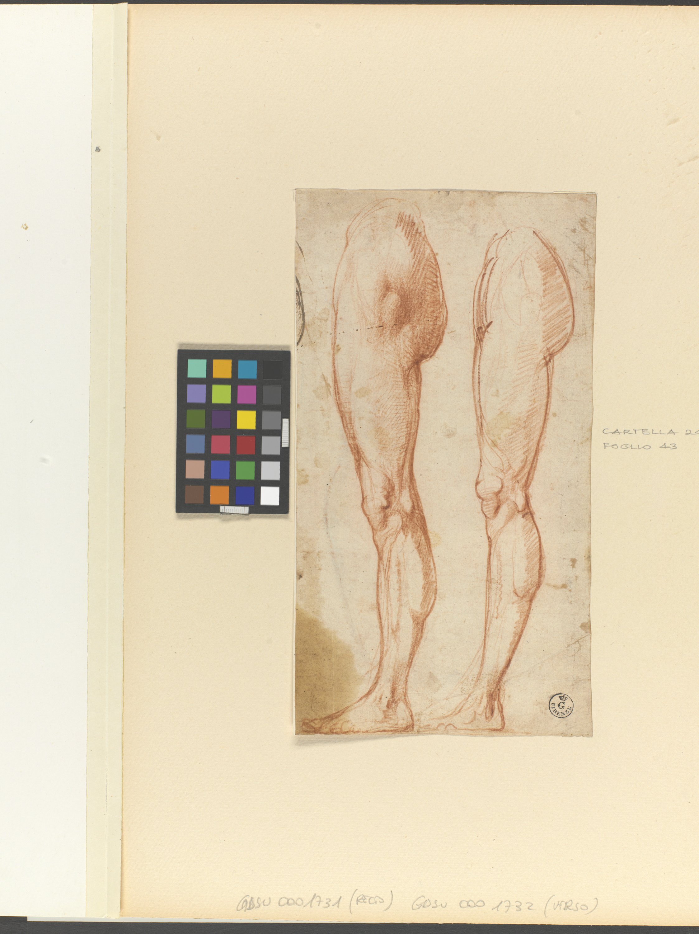 due studi di gamba sinistra di profilo (r.), gamba sinistra di profilo, testa di giovane (v.) (disegno) di Cardi Ludovico detto Cigoli (fine/ inizio XVI/ XVII)