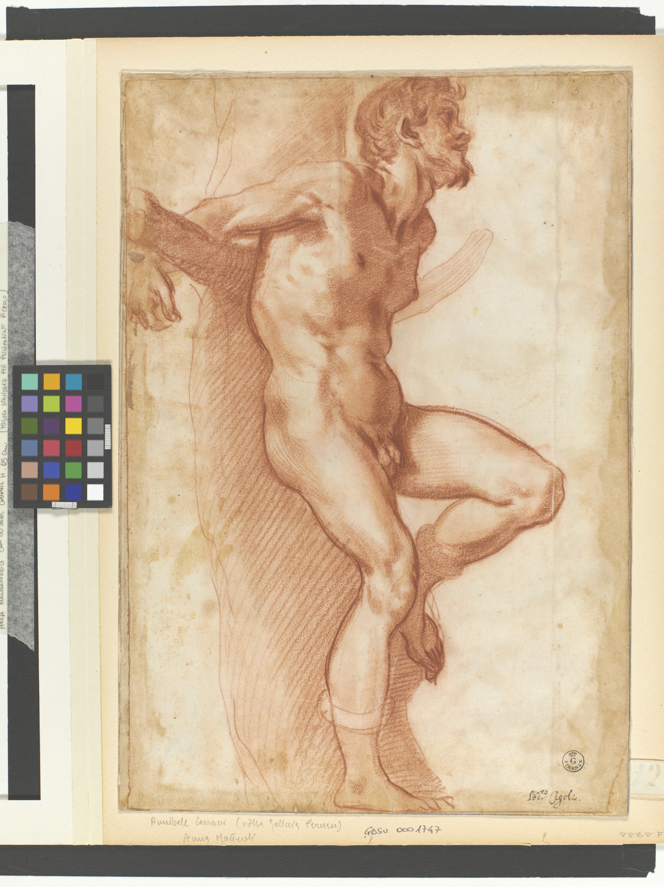 figura maschile nuda legata a un albero (disegno) di Cardi Ludovico detto Cigoli (XVI/ XVII)